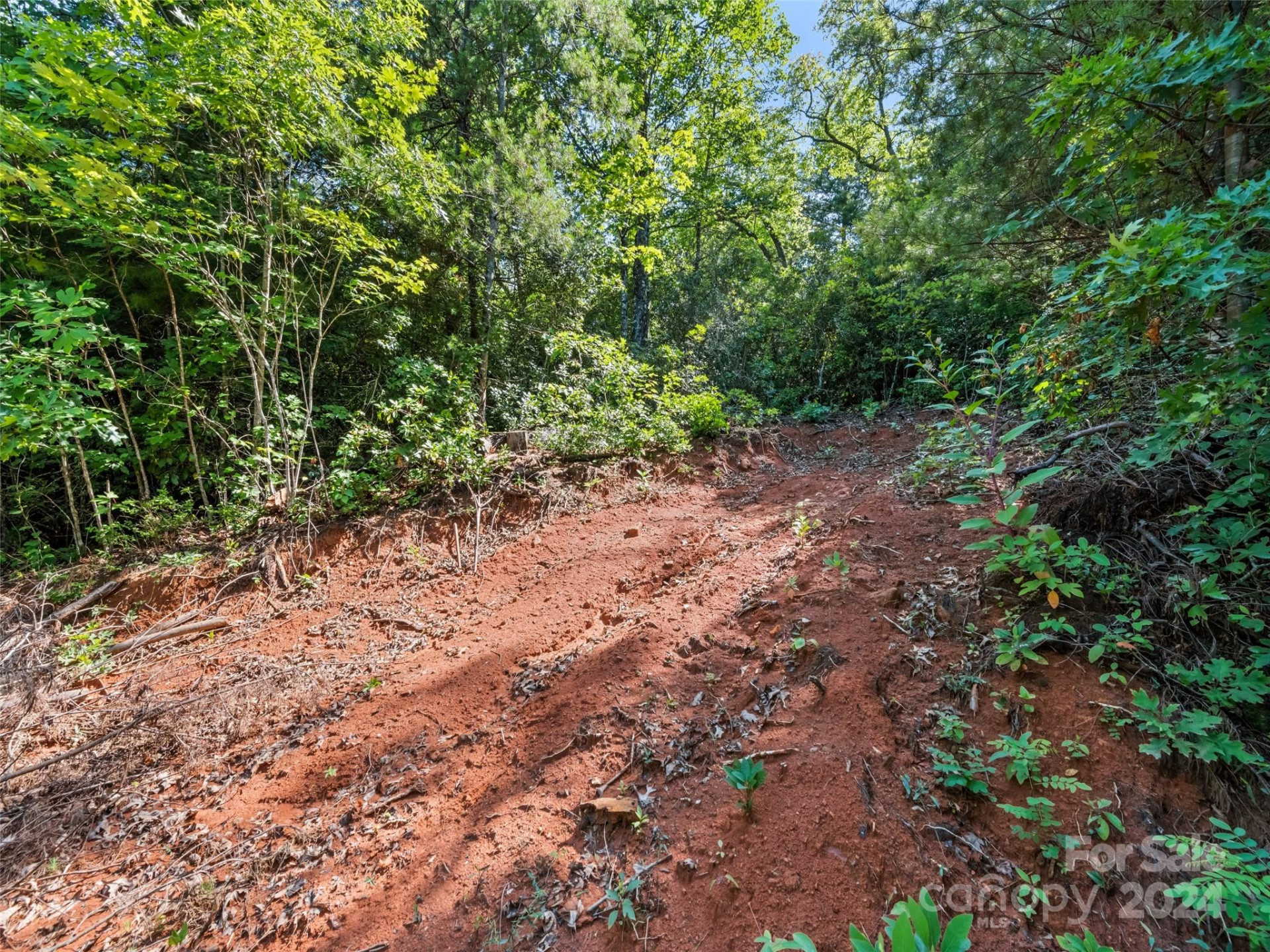 00 Ashe Loop Road - Photo 6
