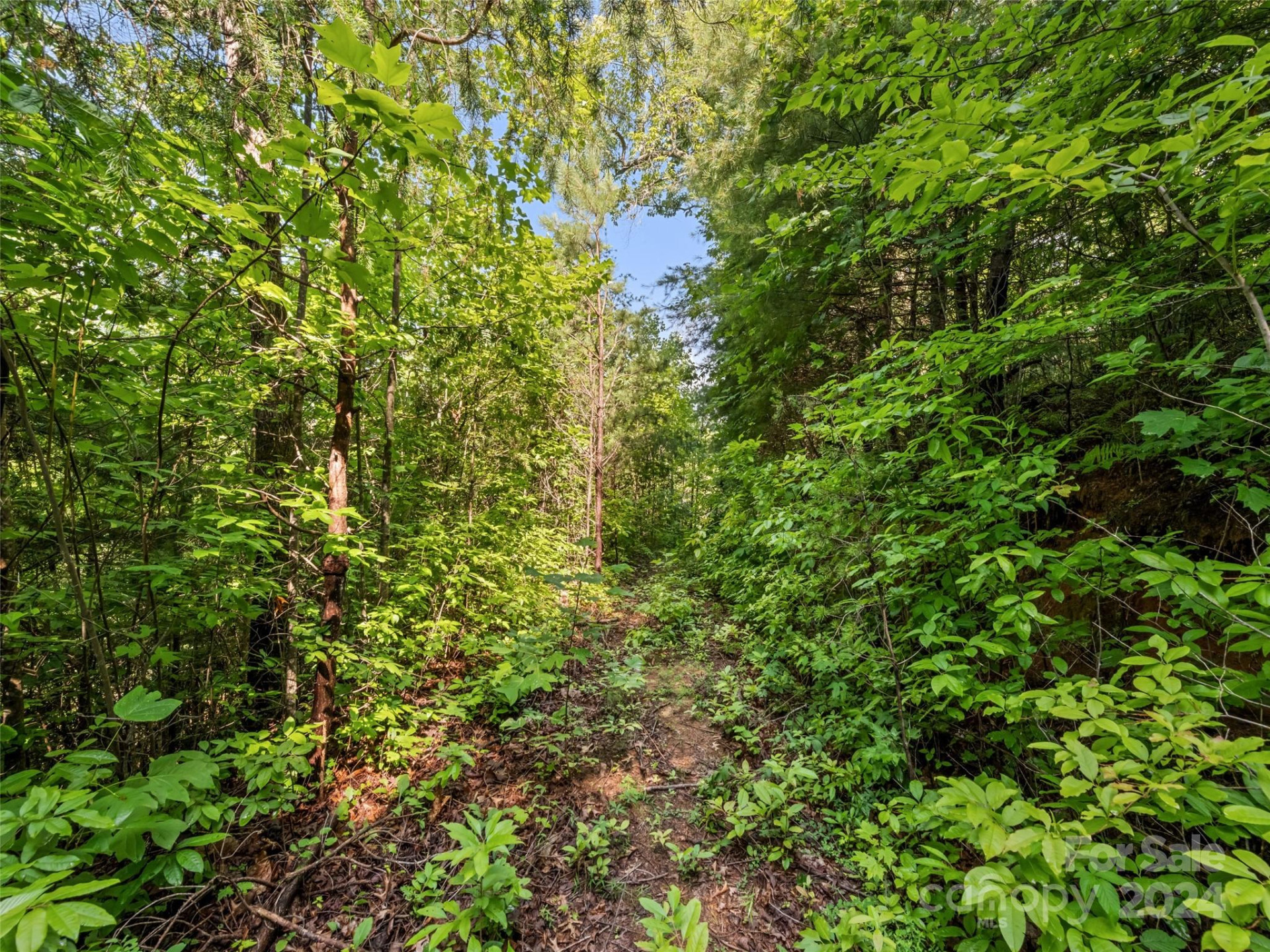 00 Ashe Loop Road - Photo 7