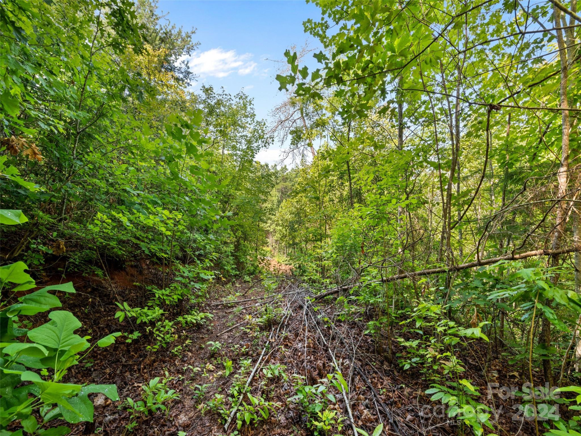 00 Ashe Loop Road - Photo 8