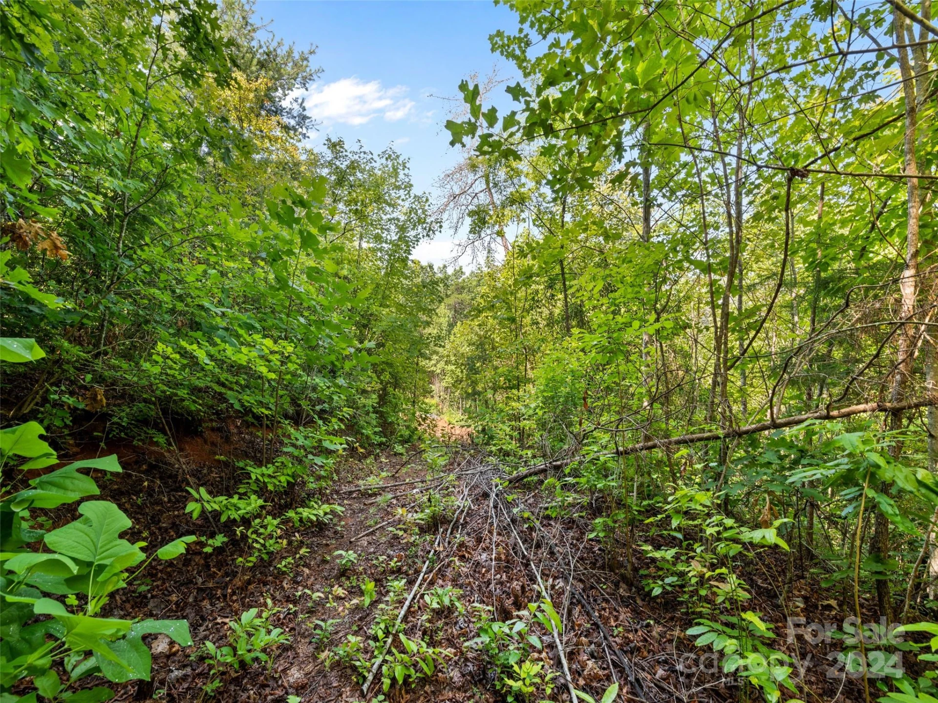 00 Ashe Loop Road - Photo 8