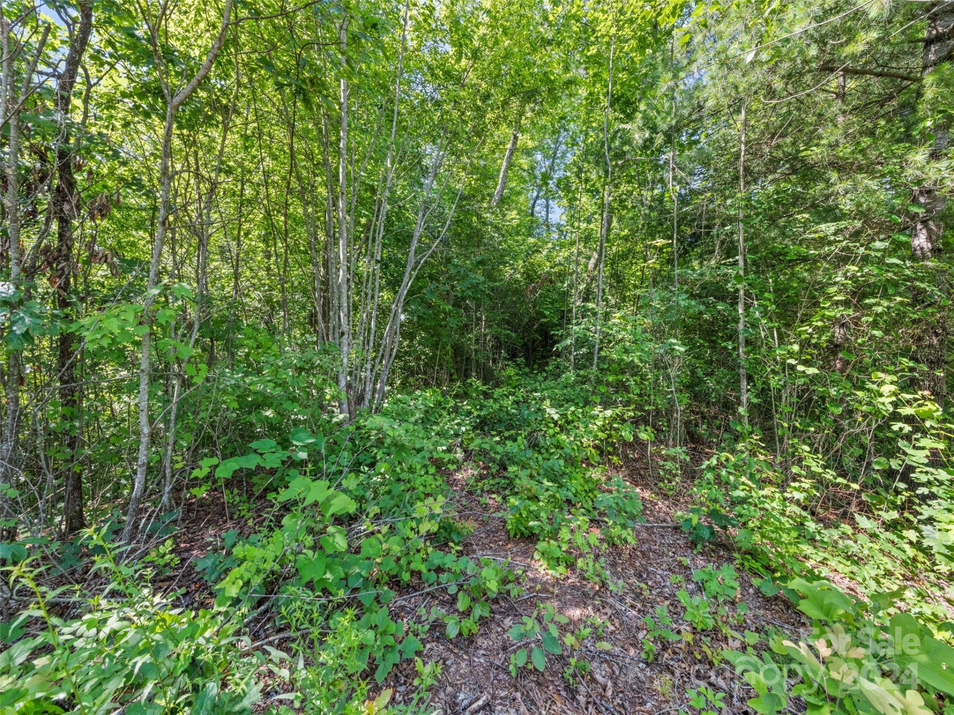 00 Ashe Loop Road - Photo 9