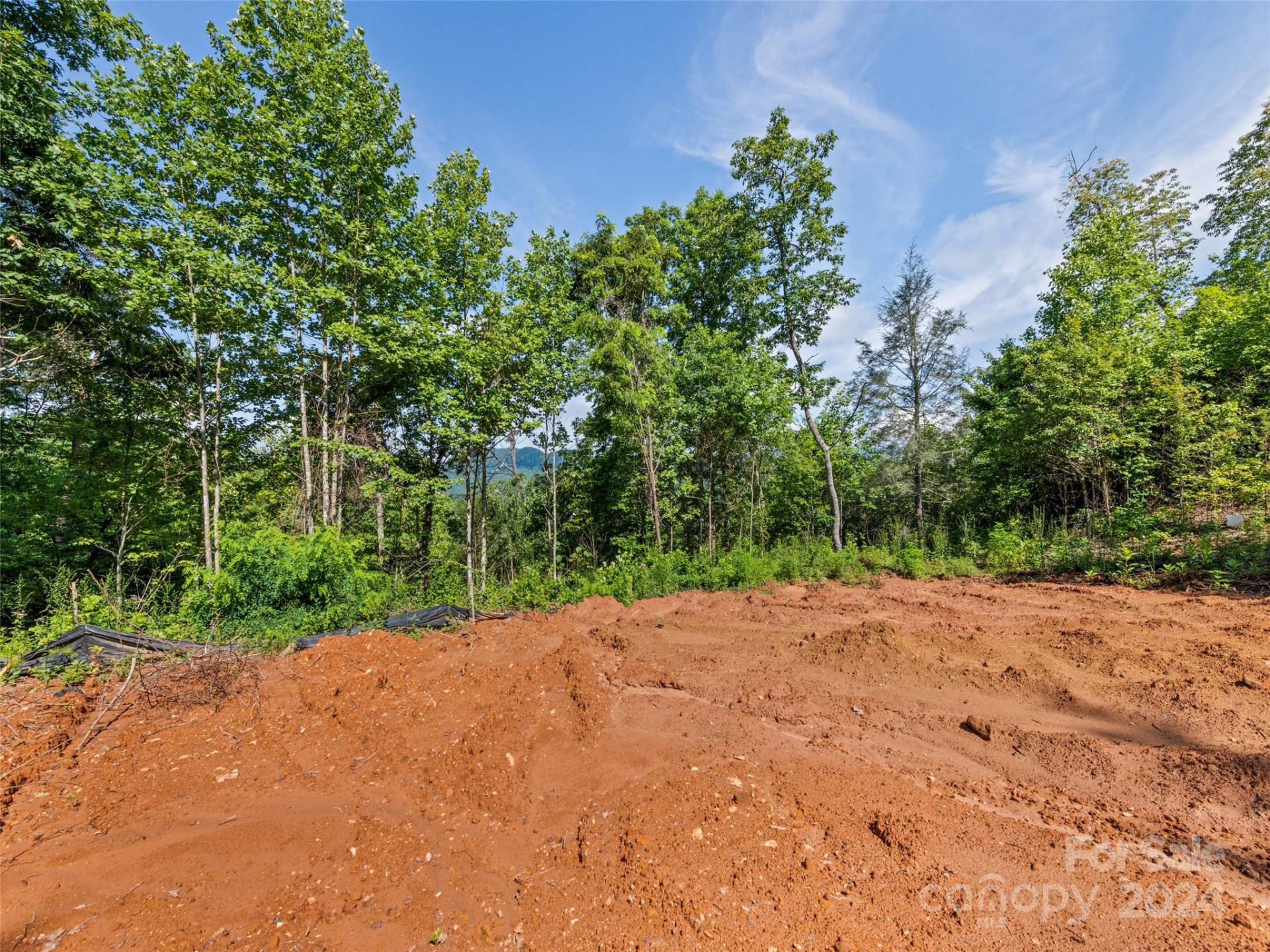 00 Ashe Loop Road - Photo 10