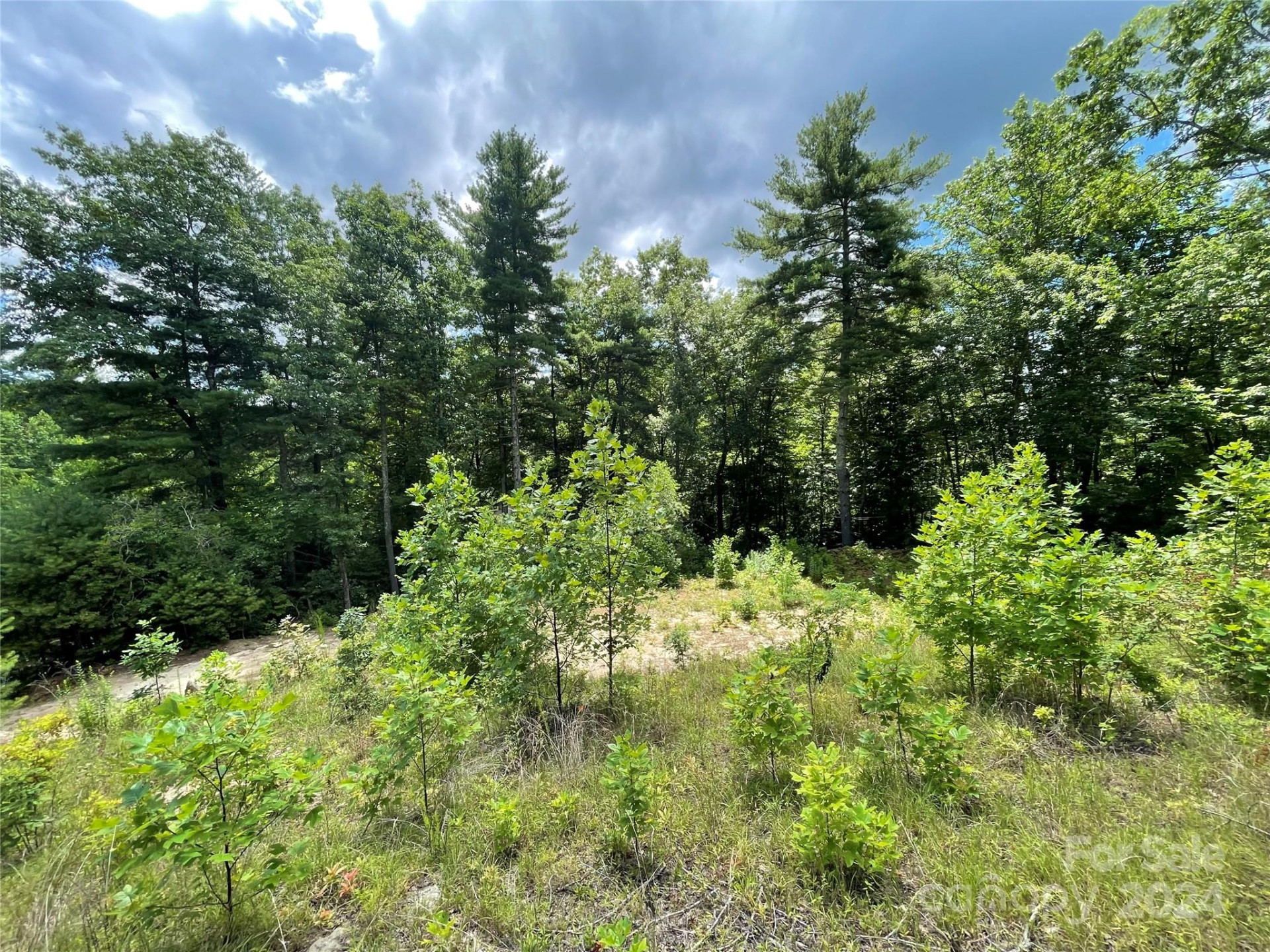 00 Willow Run Lane #6 - Photo 11