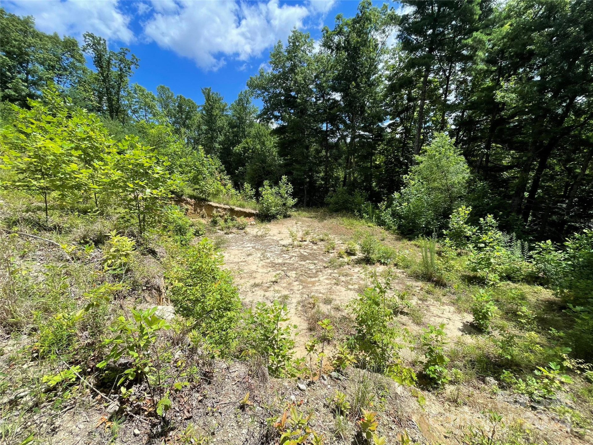 00 Willow Run Lane #6 - Photo 12