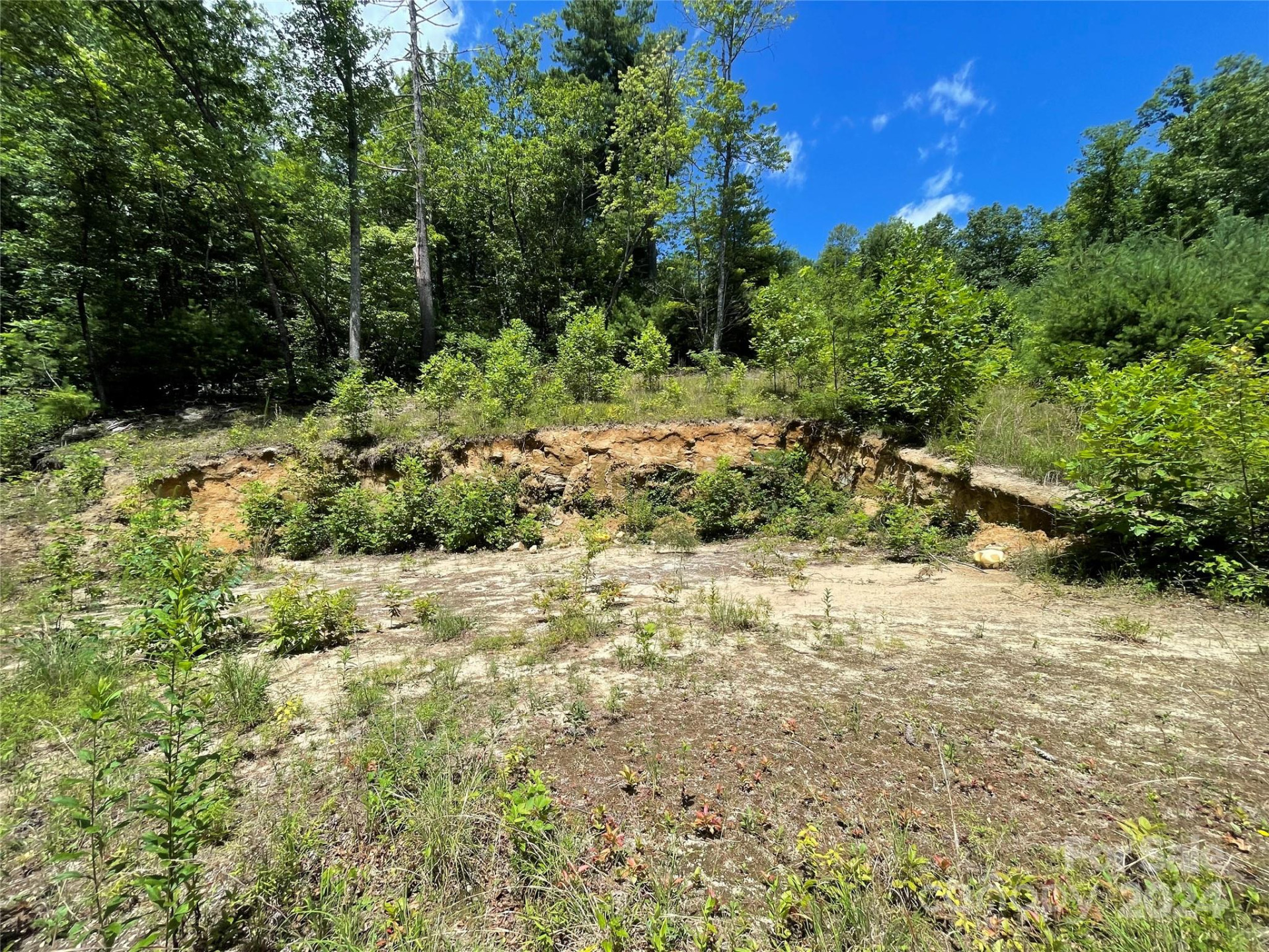 00 Willow Run Lane #6 - Photo 13