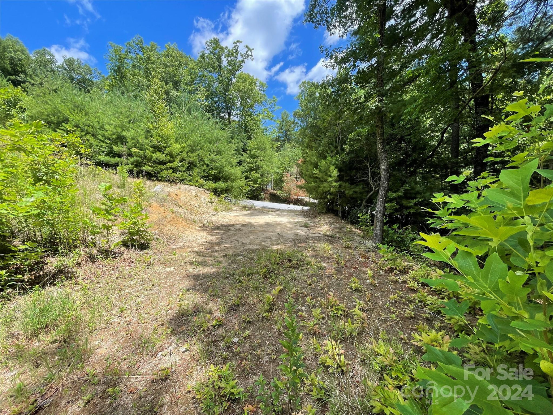 00 Willow Run Lane #6 - Photo 14