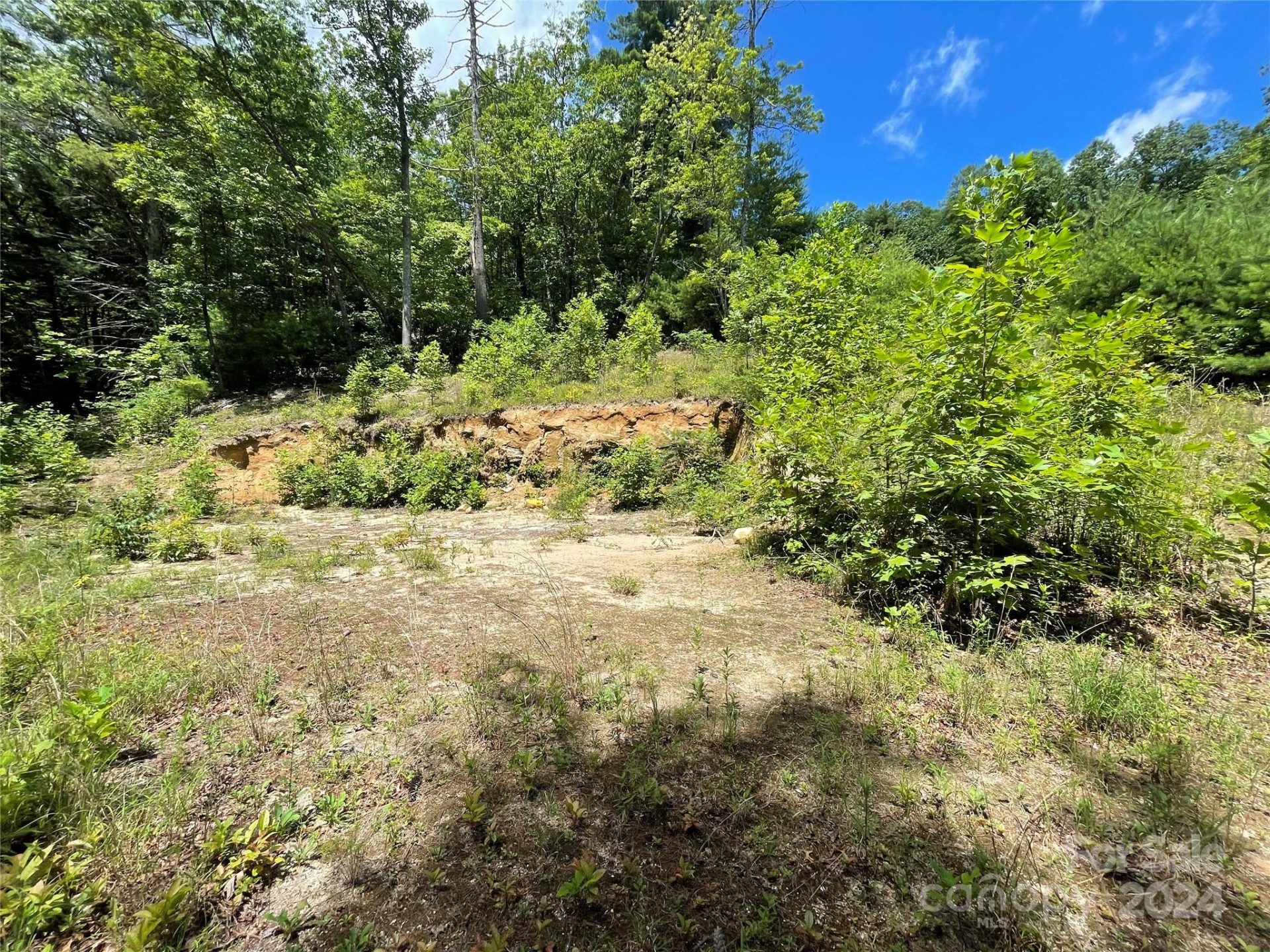 00 Willow Run Lane #6 - Photo 15