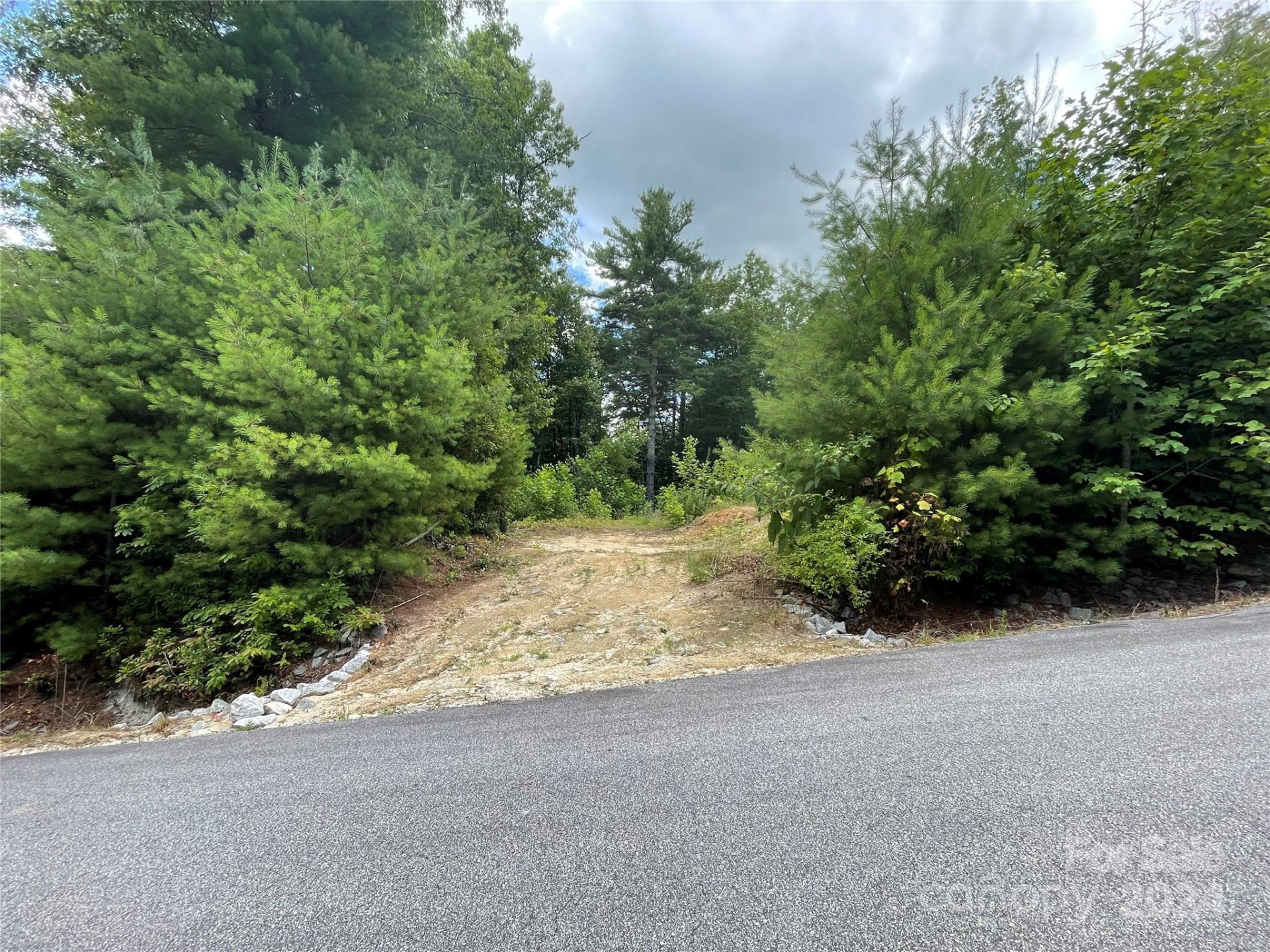 00 Willow Run Lane #6 - Photo 5