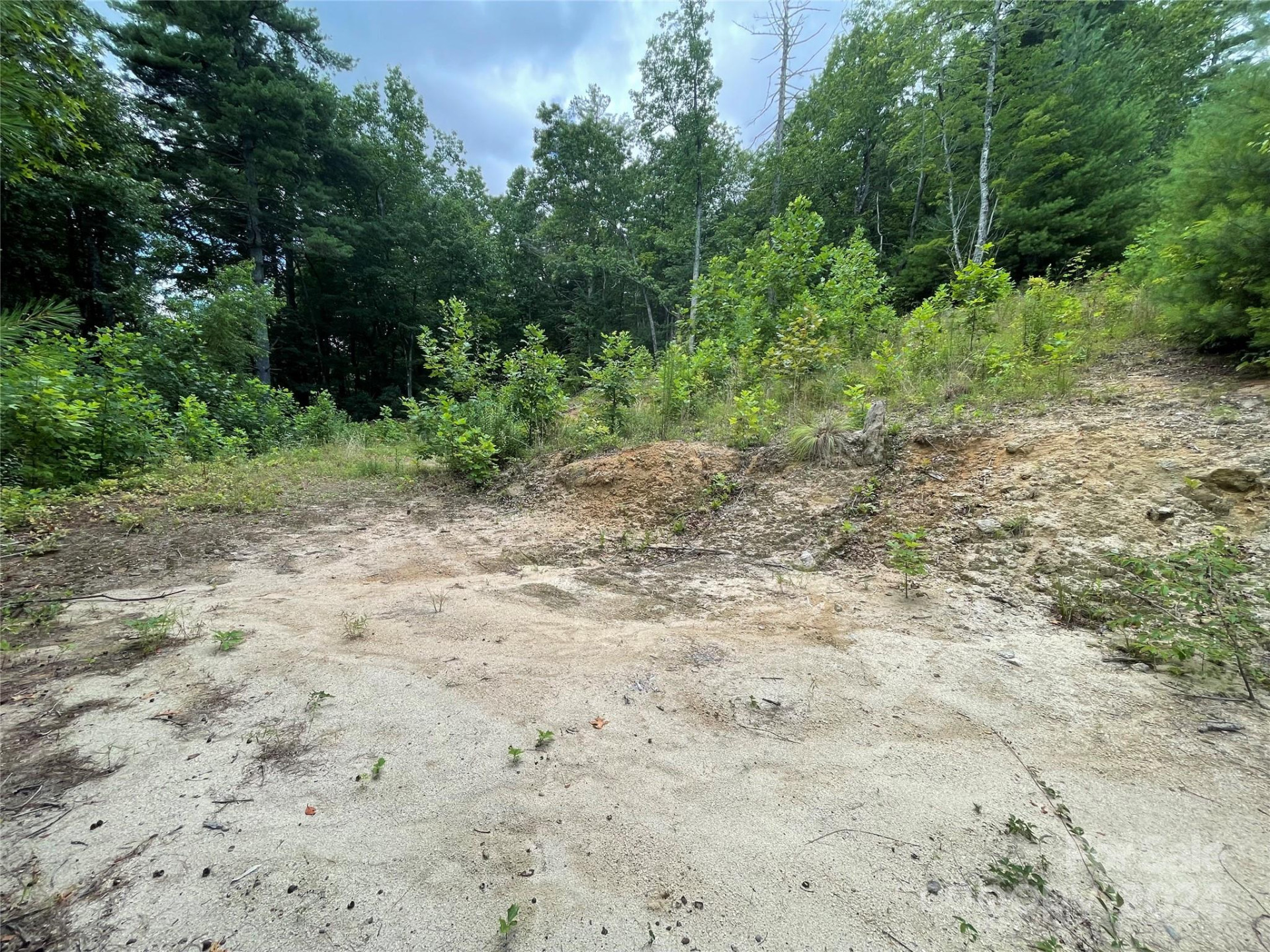 00 Willow Run Lane #6 - Photo 6