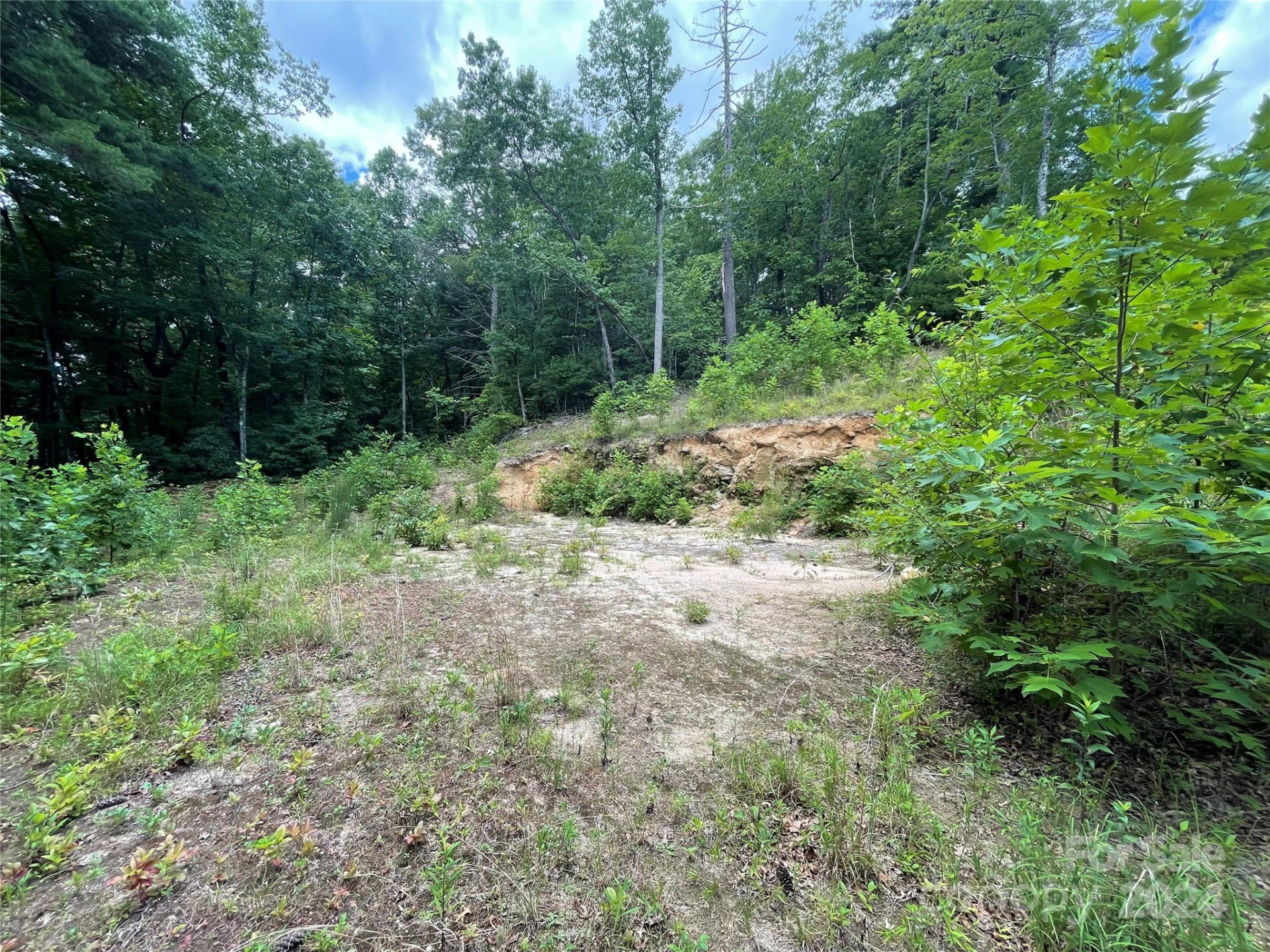 00 Willow Run Lane #6 - Photo 7