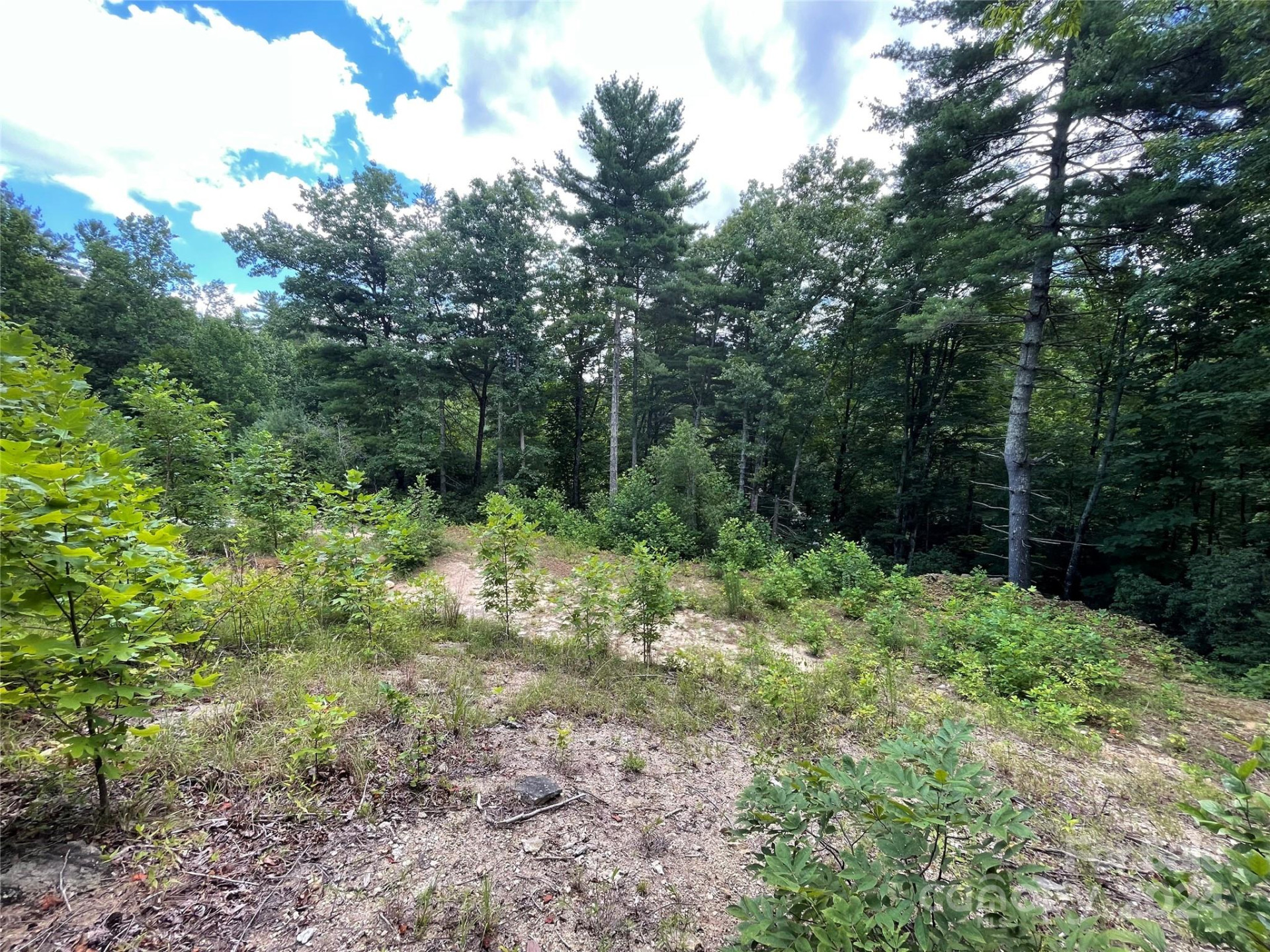 00 Willow Run Lane #6 - Photo 8