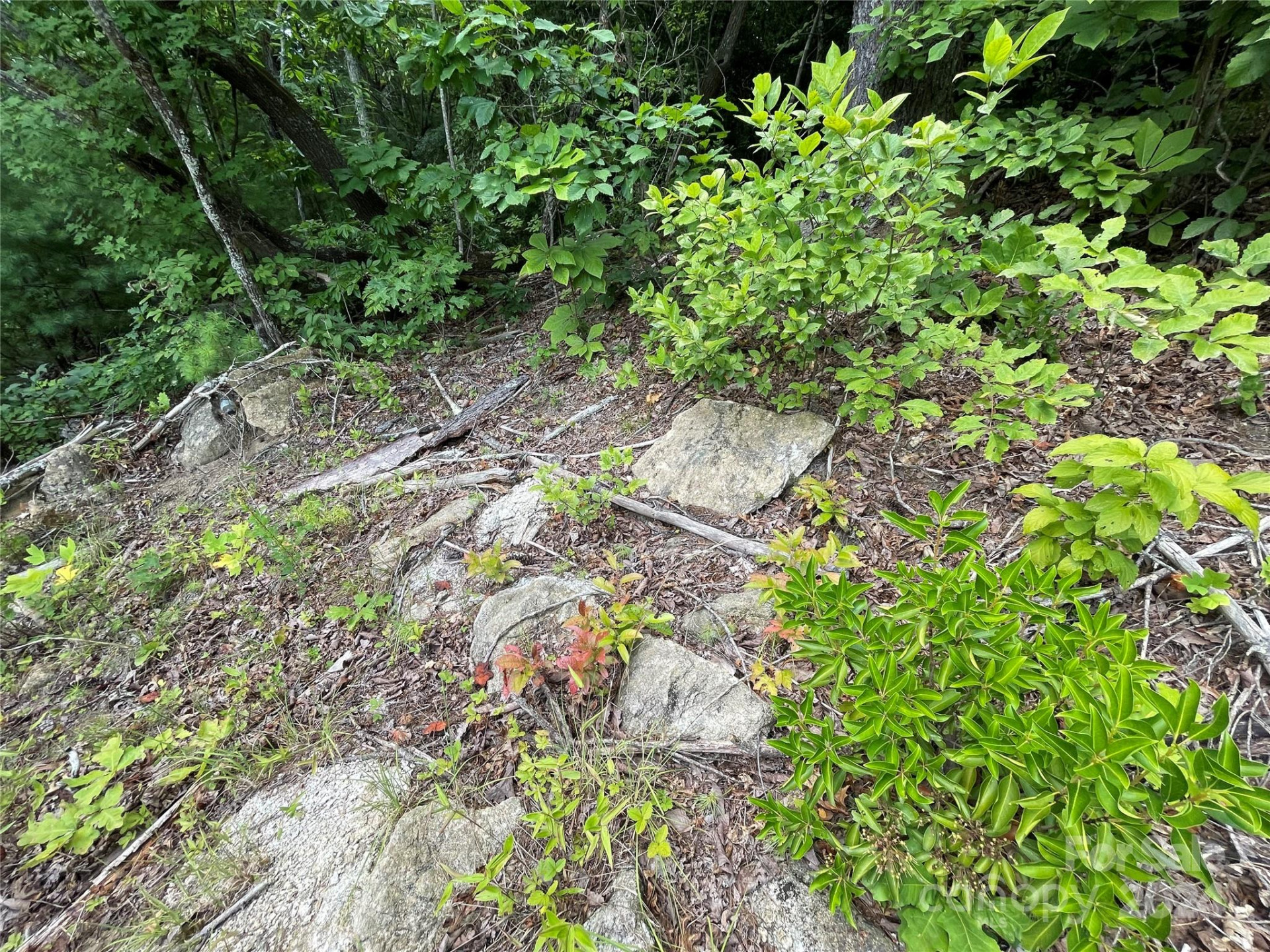 00 Willow Run Lane #6 - Photo 9