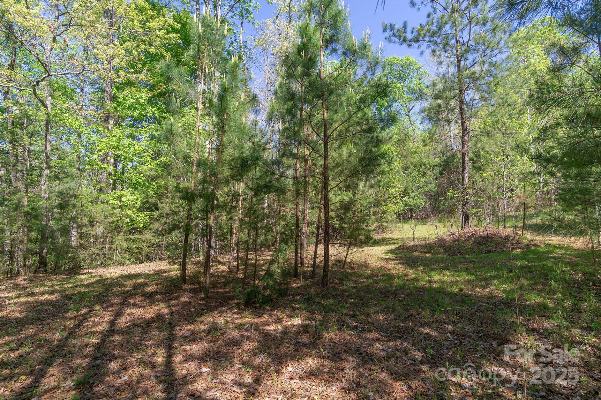 V/L Easy Street #11 and 12 - Photo 4