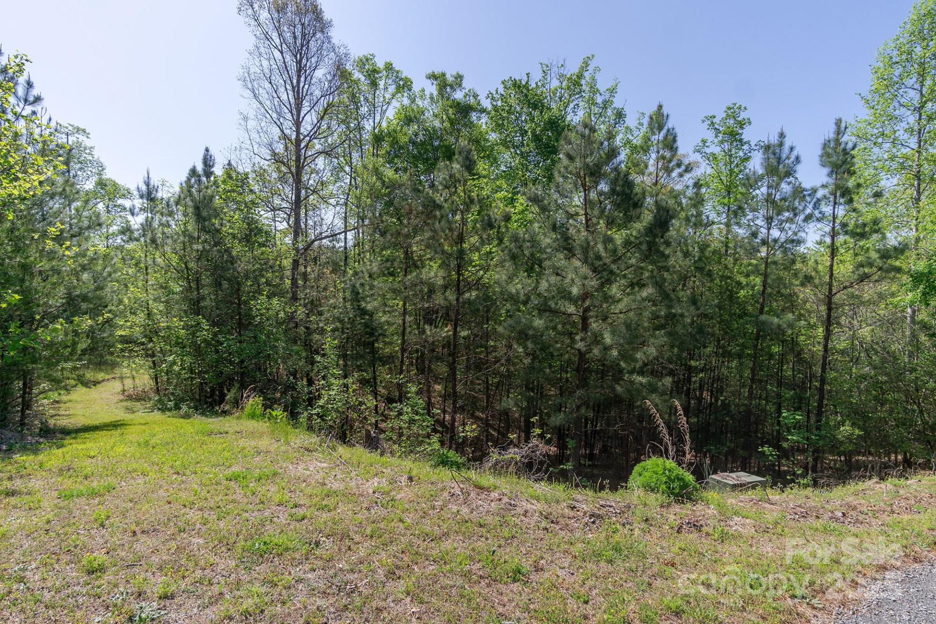 V/L Easy Street #11 and 12 - Photo 6