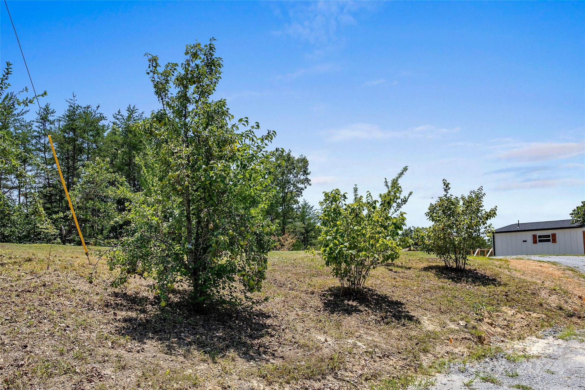 290 Boland Drive - Photo 42