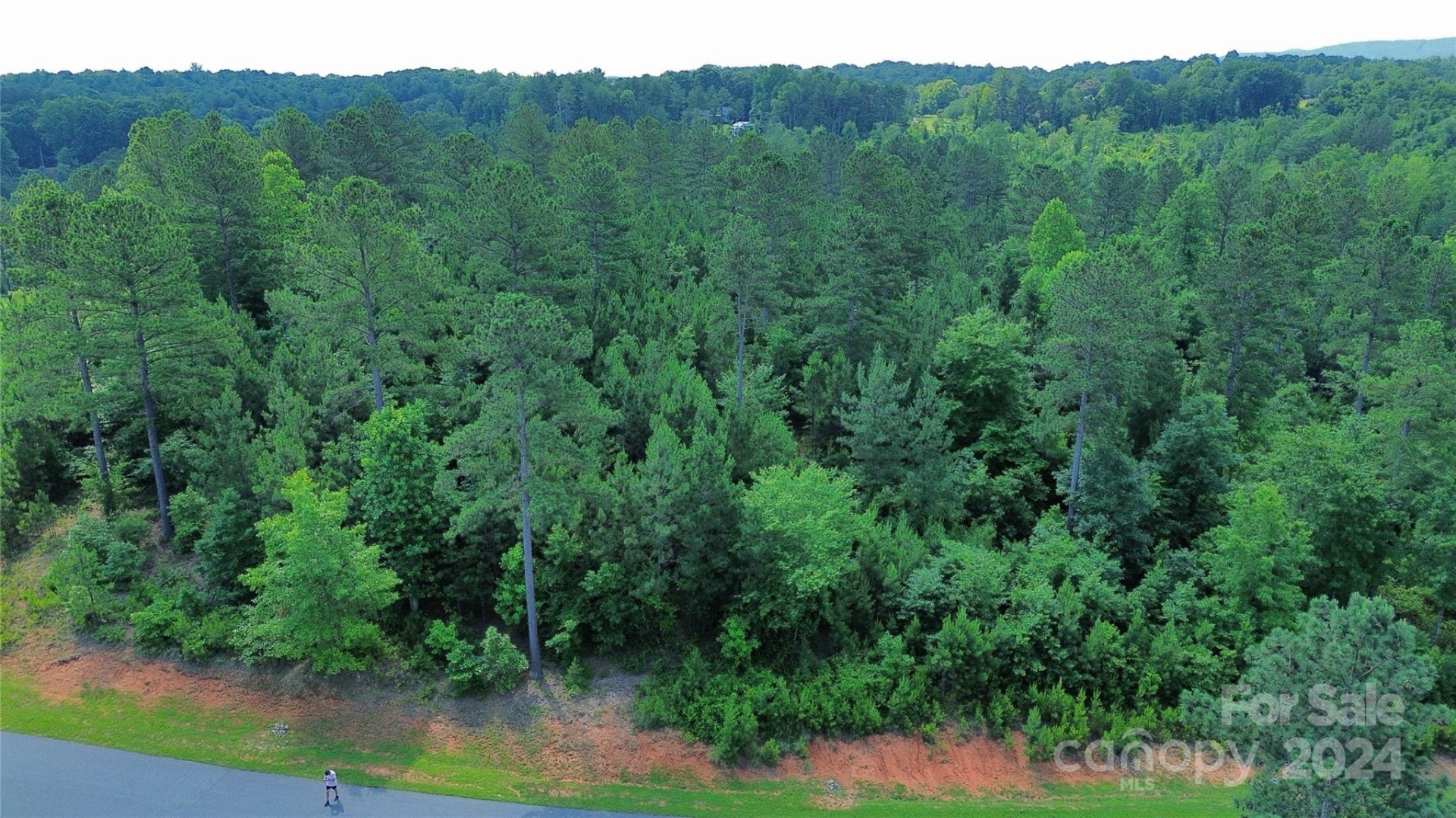 1489 Lake Vista Drive ##16B - Photo 3