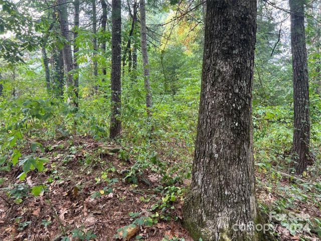 3967 Howard Gap Road