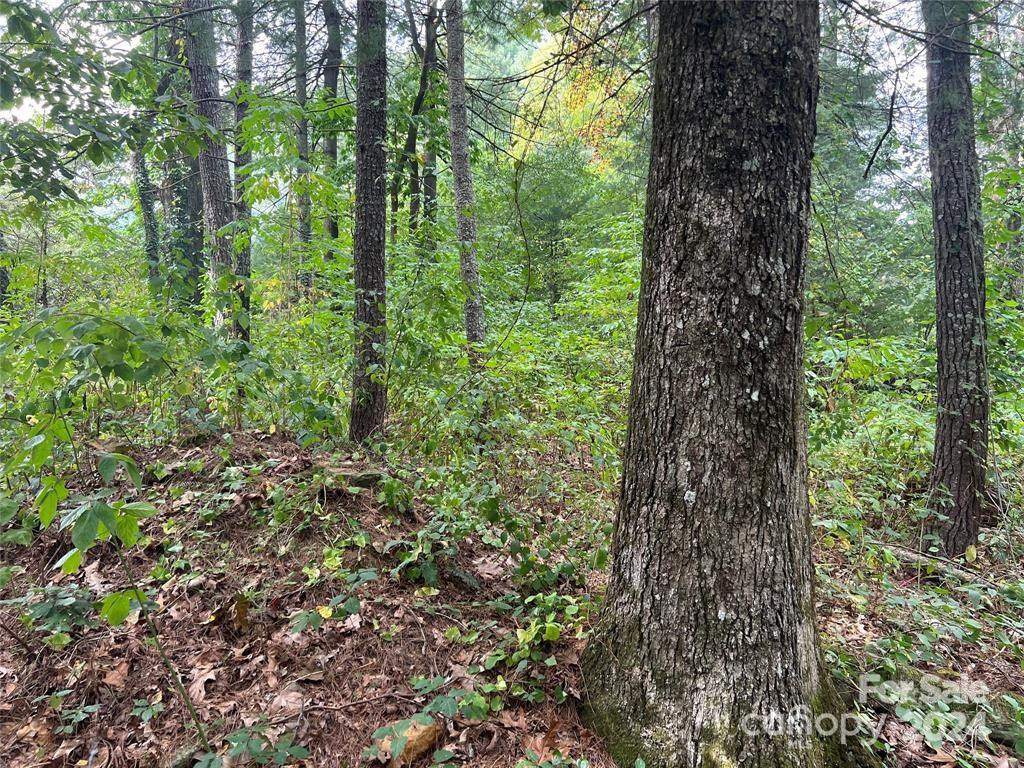 3967 Howard Gap Road