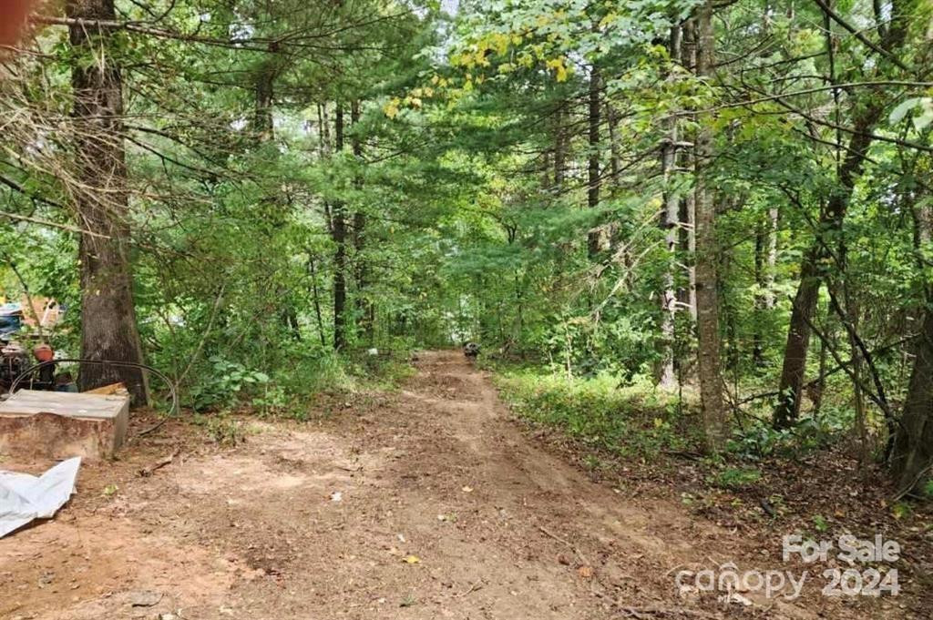 3967 Howard Gap Road - Photo 2