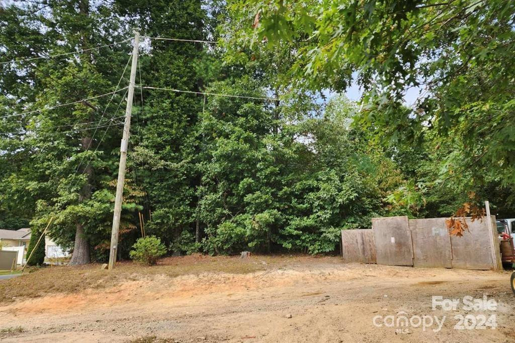 3967 Howard Gap Road - Photo 4