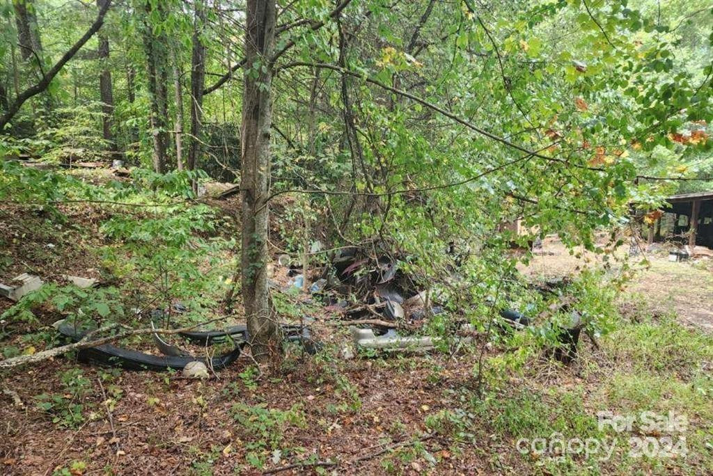 3967 Howard Gap Road - Photo 5