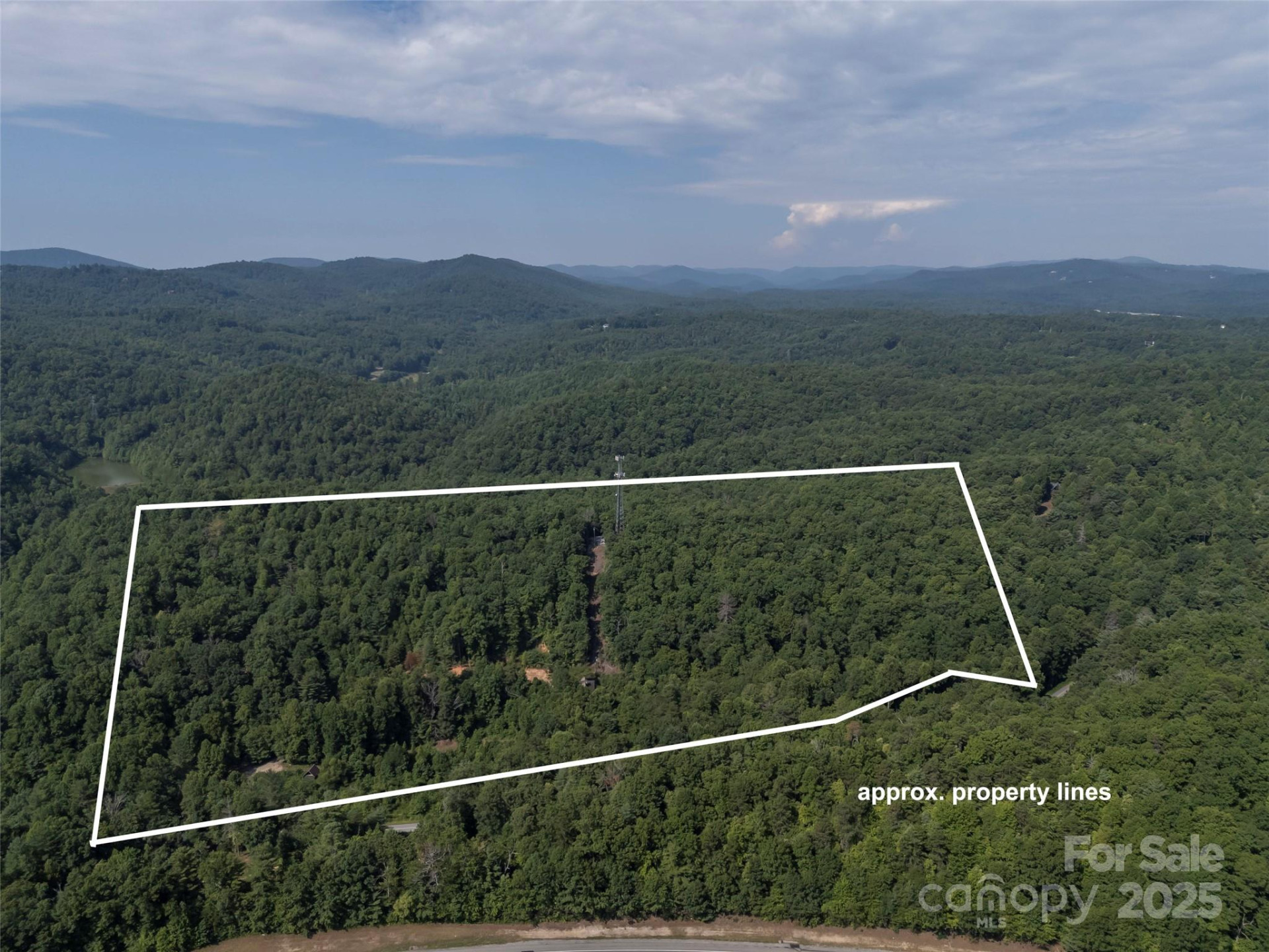 1084 Old Howard Gap Road - Photo 2