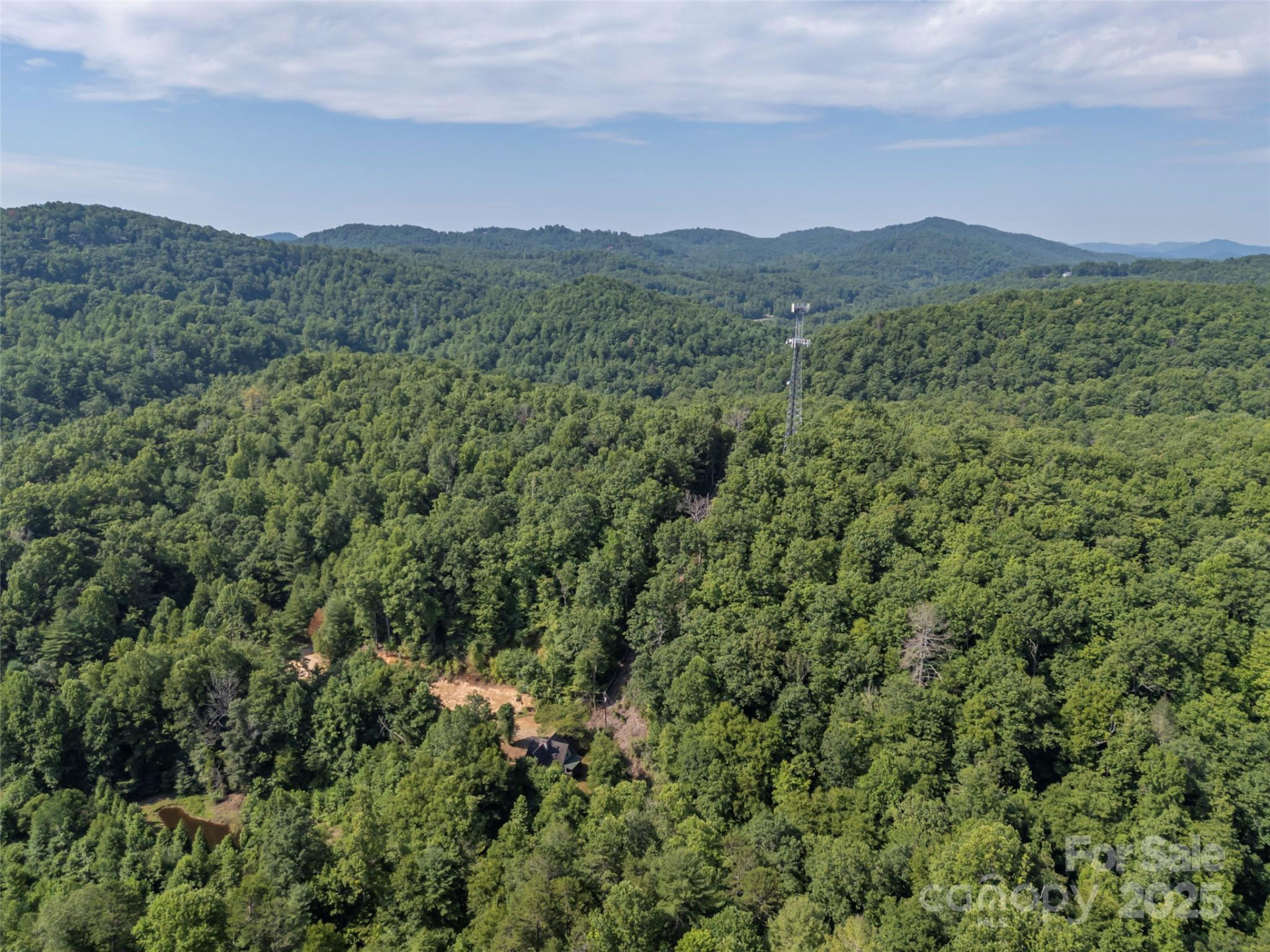 1084 Old Howard Gap Road - Photo 12