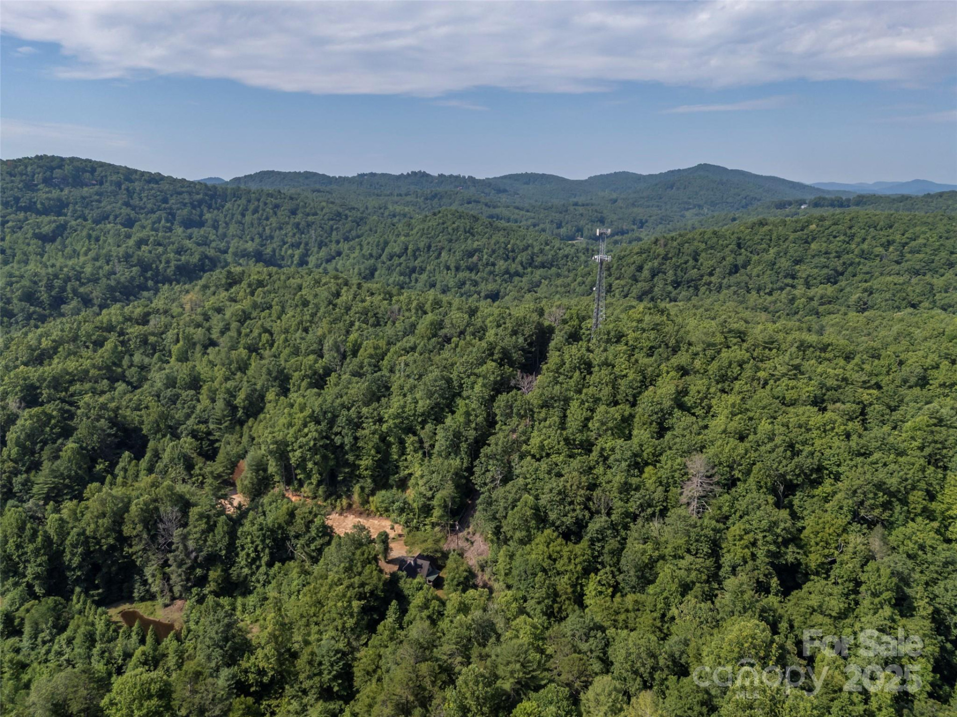 1084 Old Howard Gap Road - Photo 13