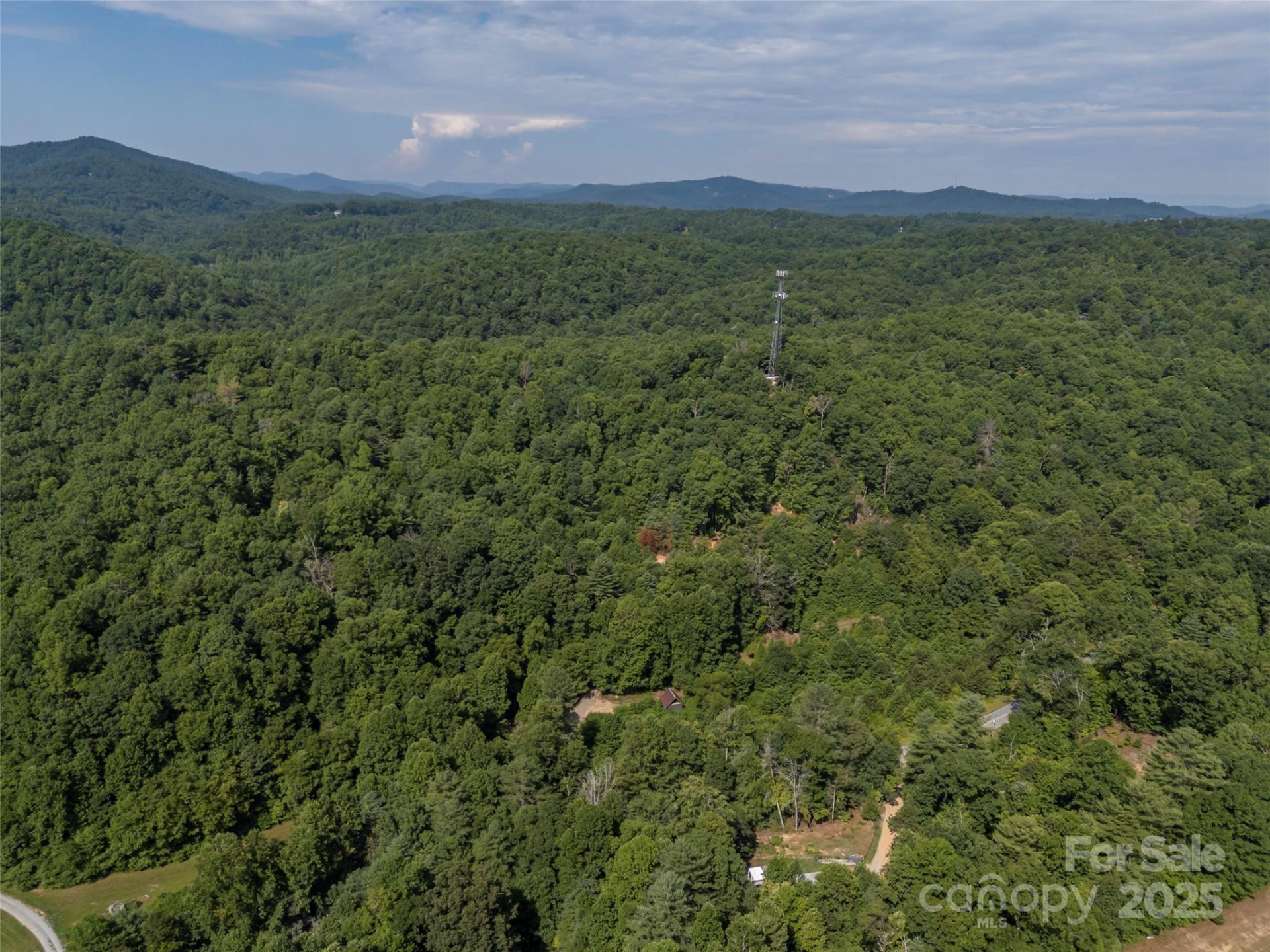 1084 Old Howard Gap Road - Photo 16