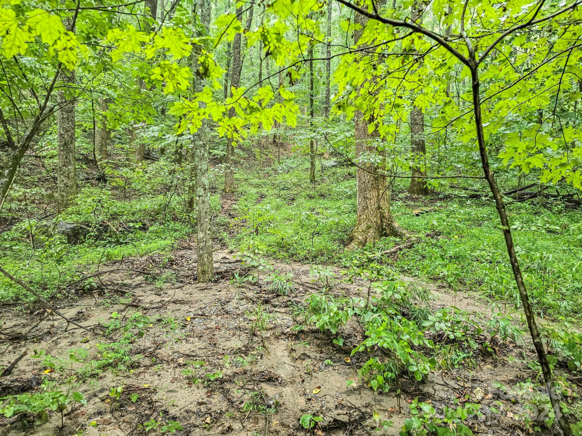 22-B Pinnacle Parkway - Photo 4