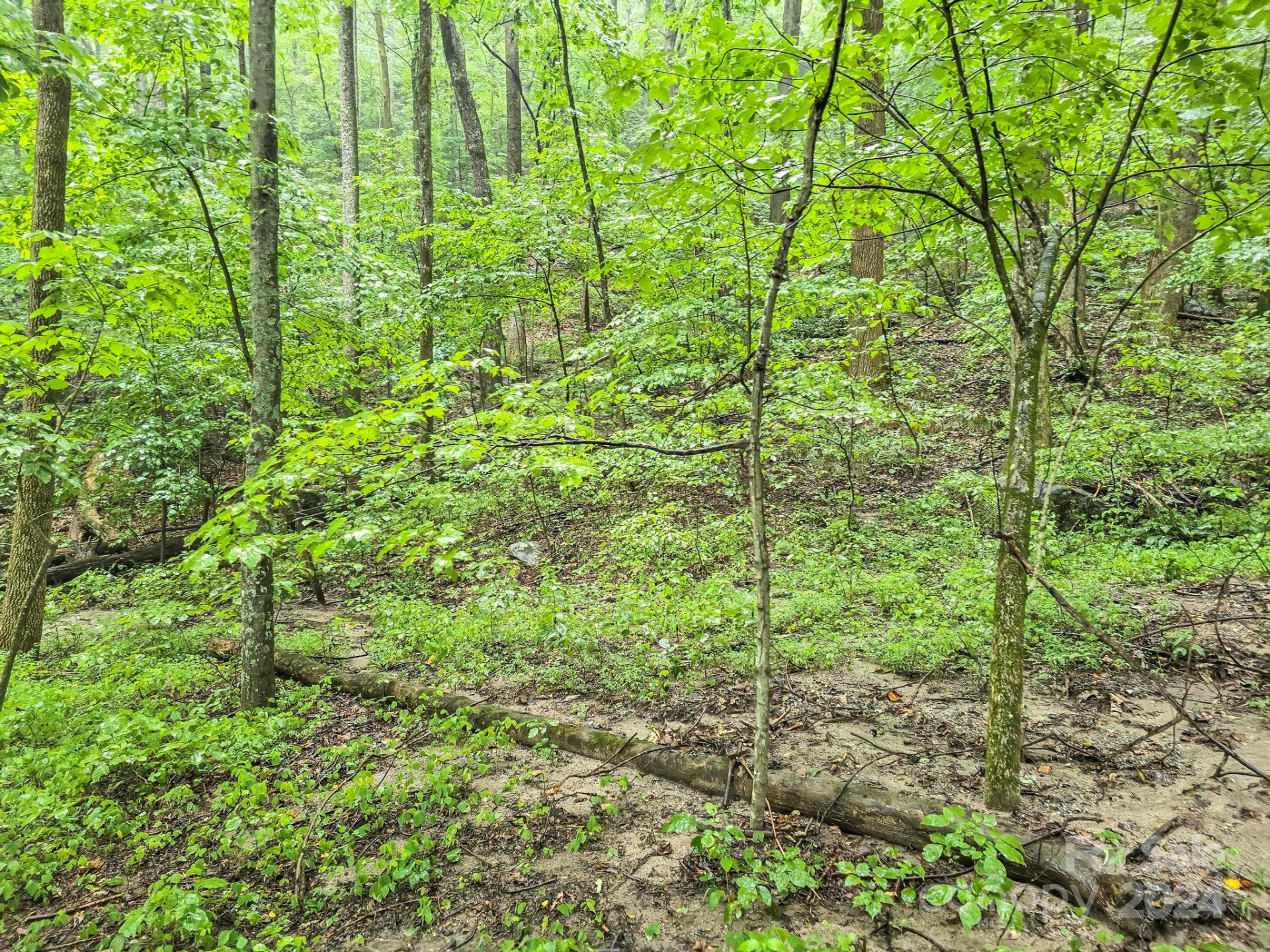 22-B Pinnacle Parkway - Photo 5