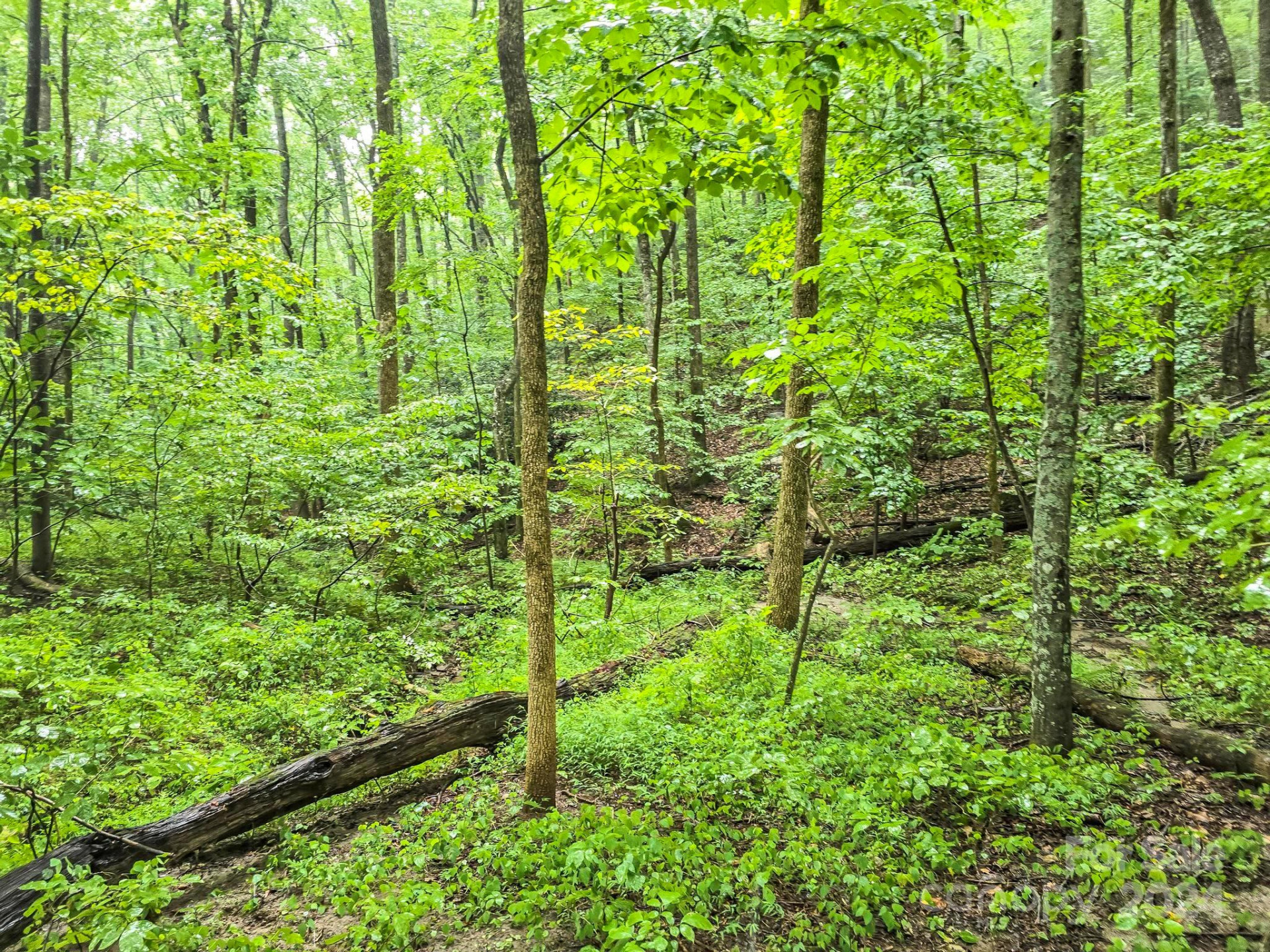 22-B Pinnacle Parkway - Photo 6