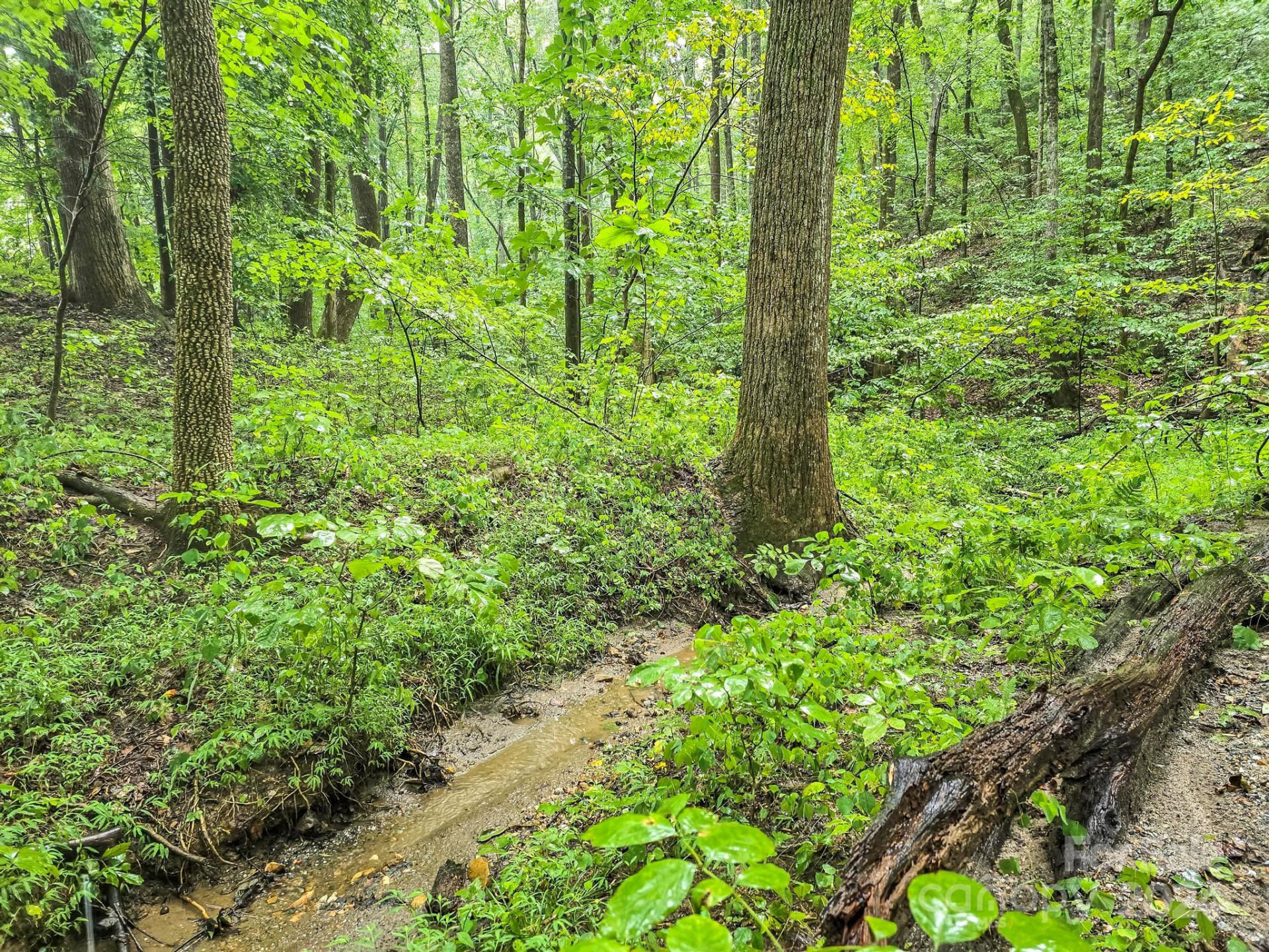 22-B Pinnacle Parkway - Photo 7