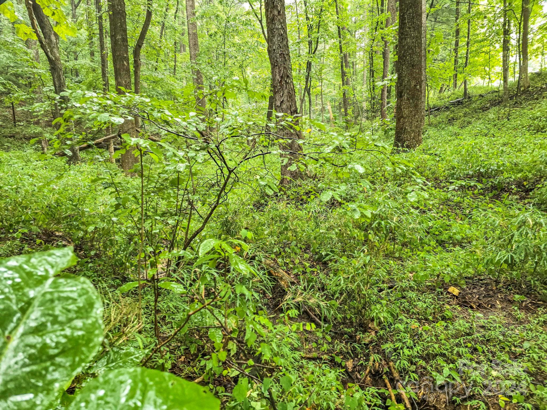 22-B Pinnacle Parkway - Photo 8