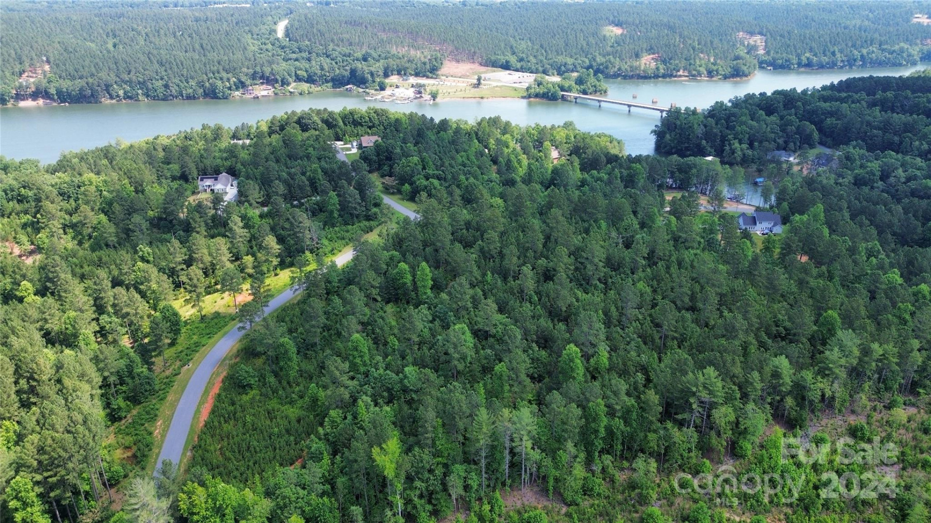 1545 Lake Vista Drive - Photo 4