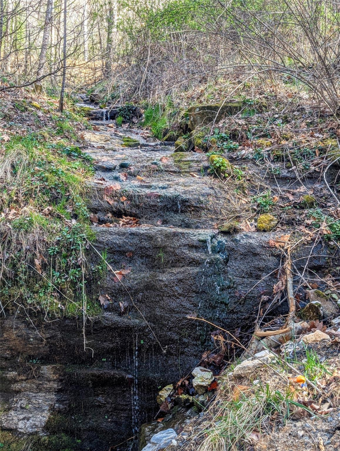 72 Pilgrims Lane - Photo 48