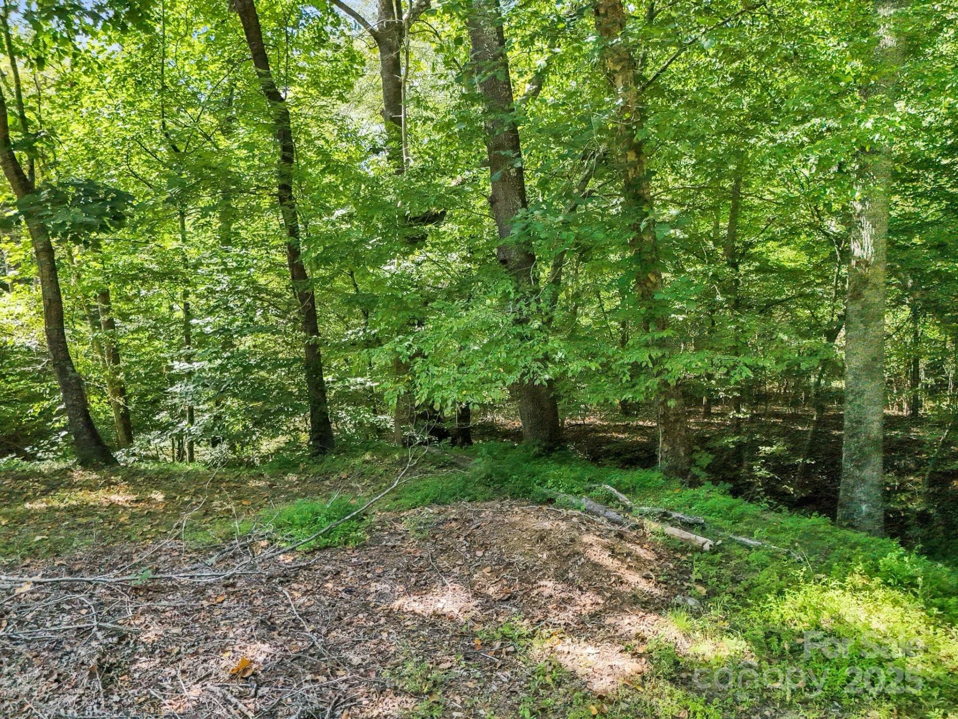 282 Reagan Lane - Photo 28