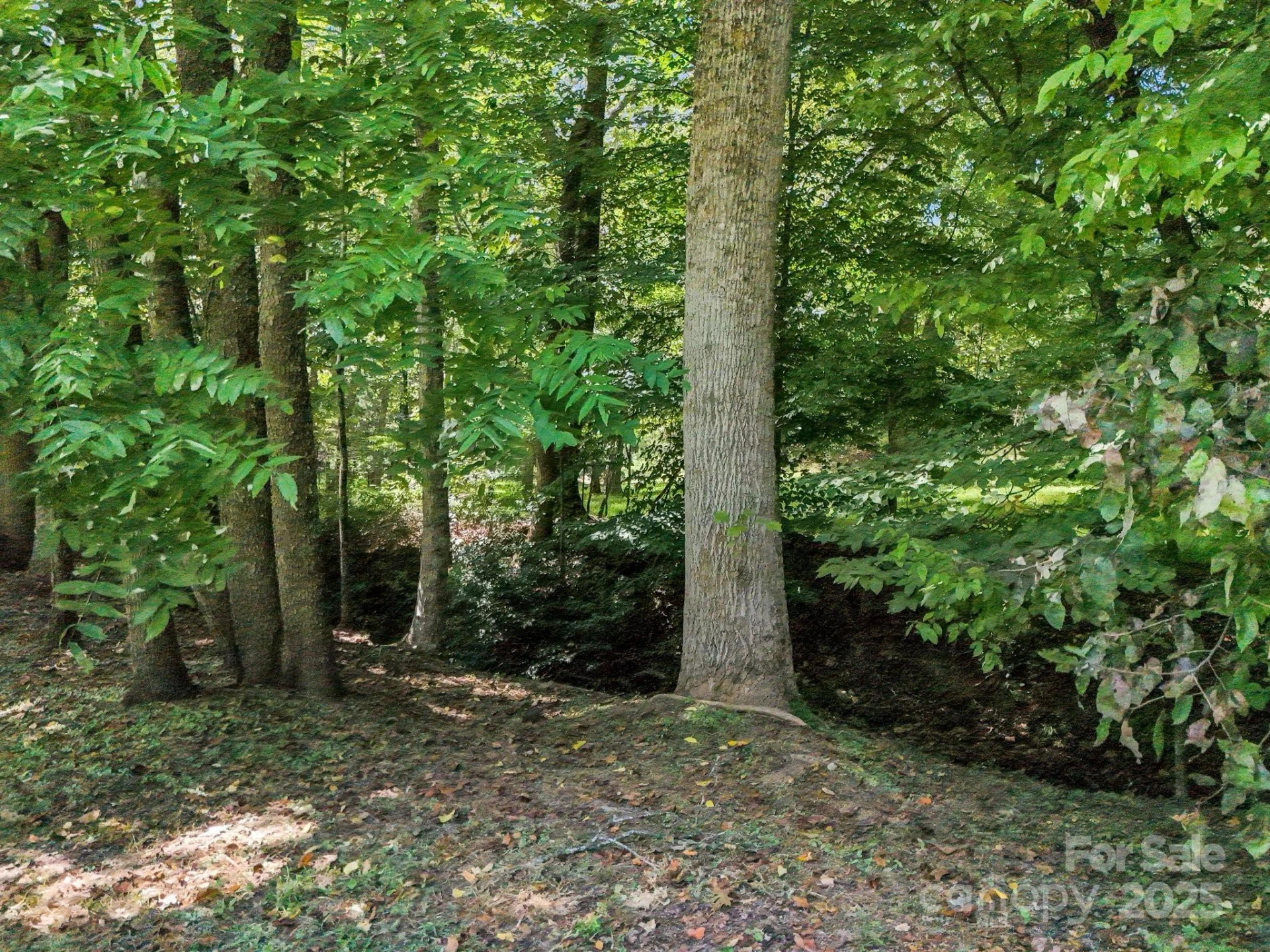 282 Reagan Lane - Photo 29