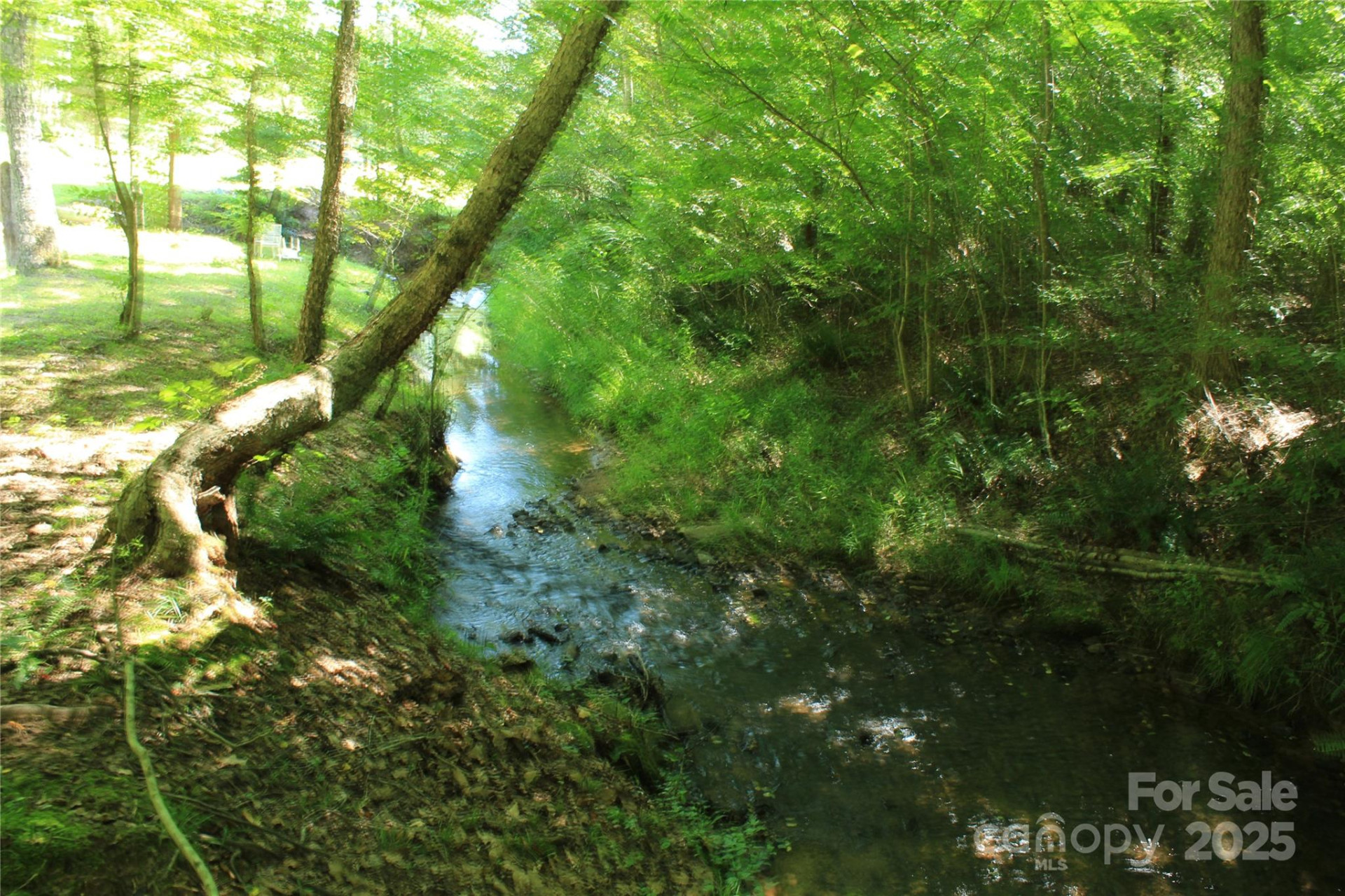 282 Reagan Lane - Photo 31