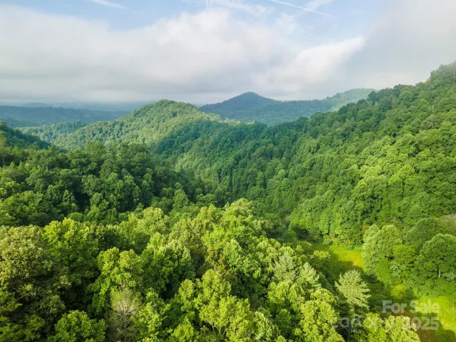99999 Renfro Road, Green Mountain, NC, 28740