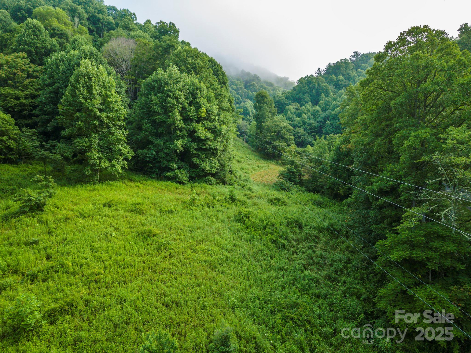 99999 Renfro Road - Photo 11