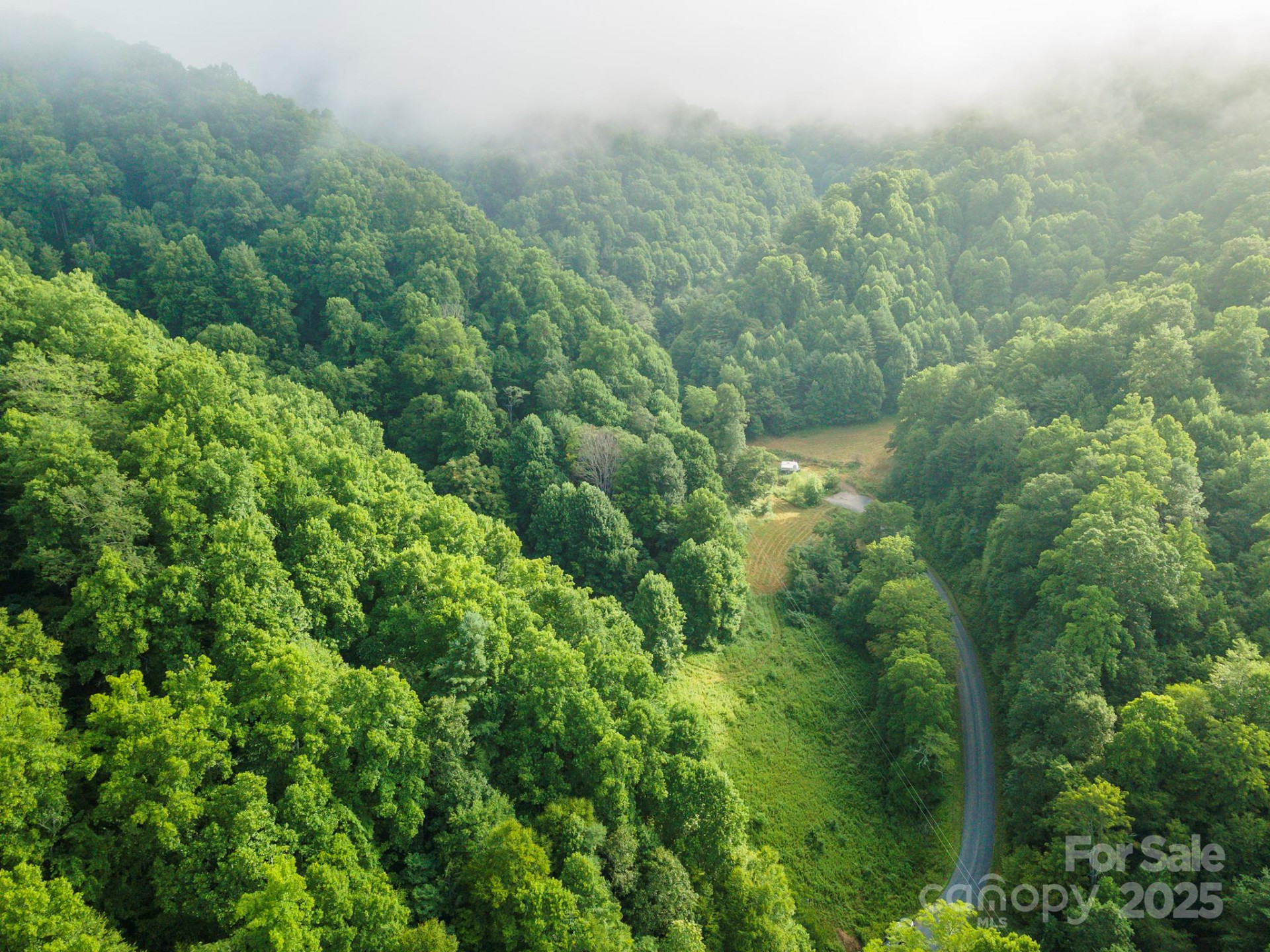 99999 Renfro Road - Photo 12