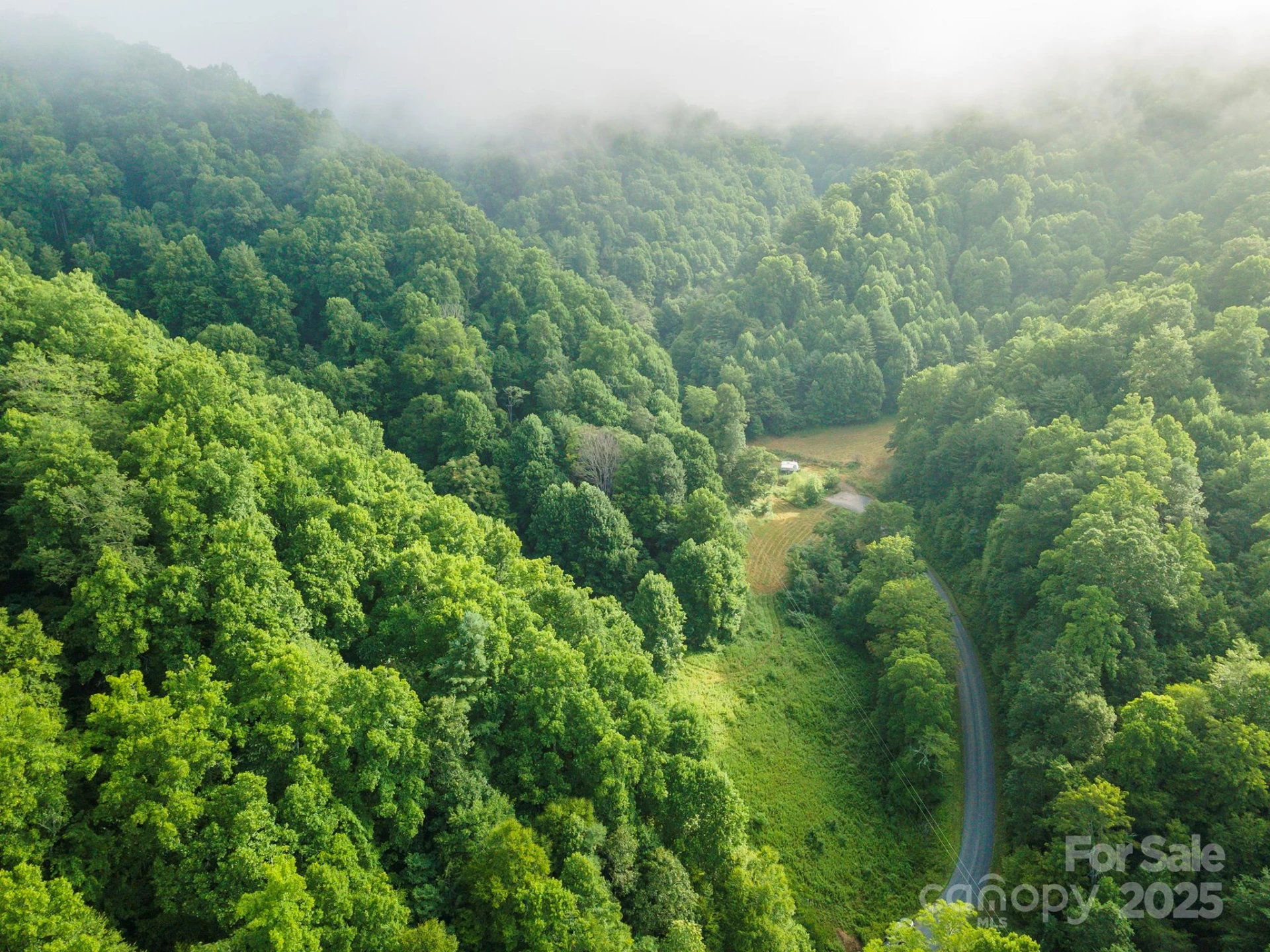 99999 Renfro Road - Photo 12