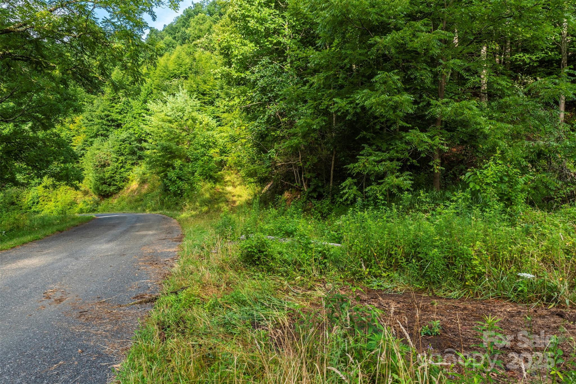 99999 Renfro Road - Photo 13