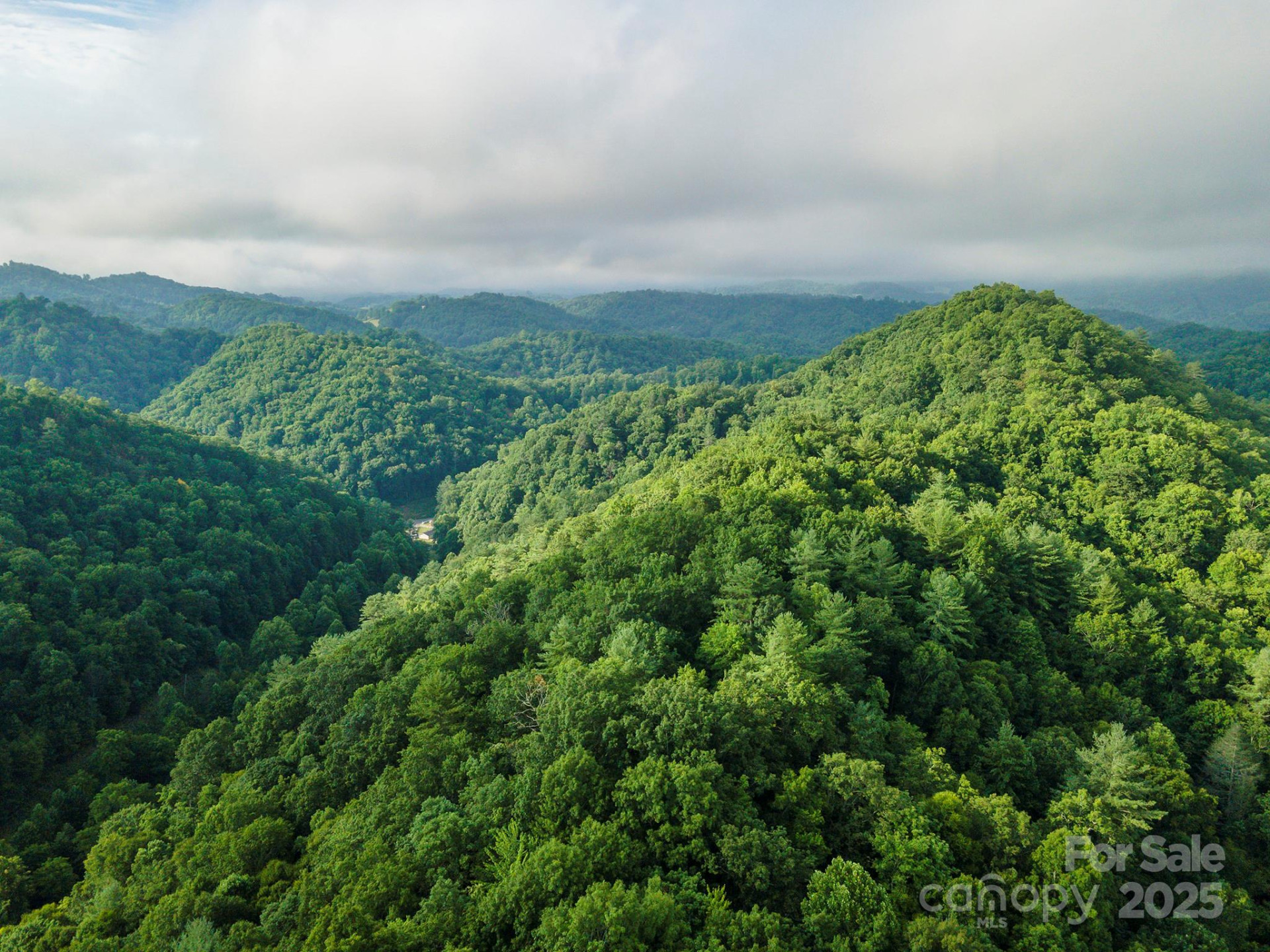 99999 Renfro Road - Photo 15