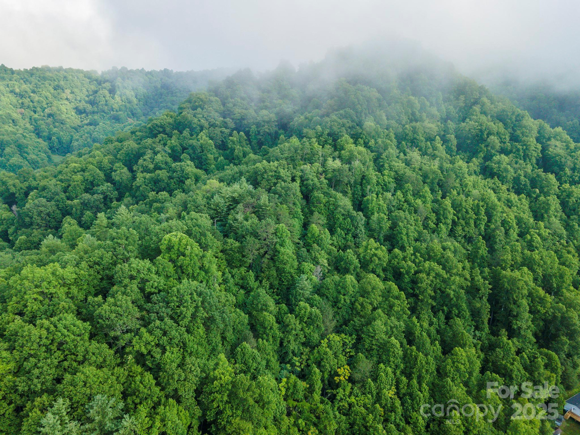 99999 Renfro Road - Photo 18