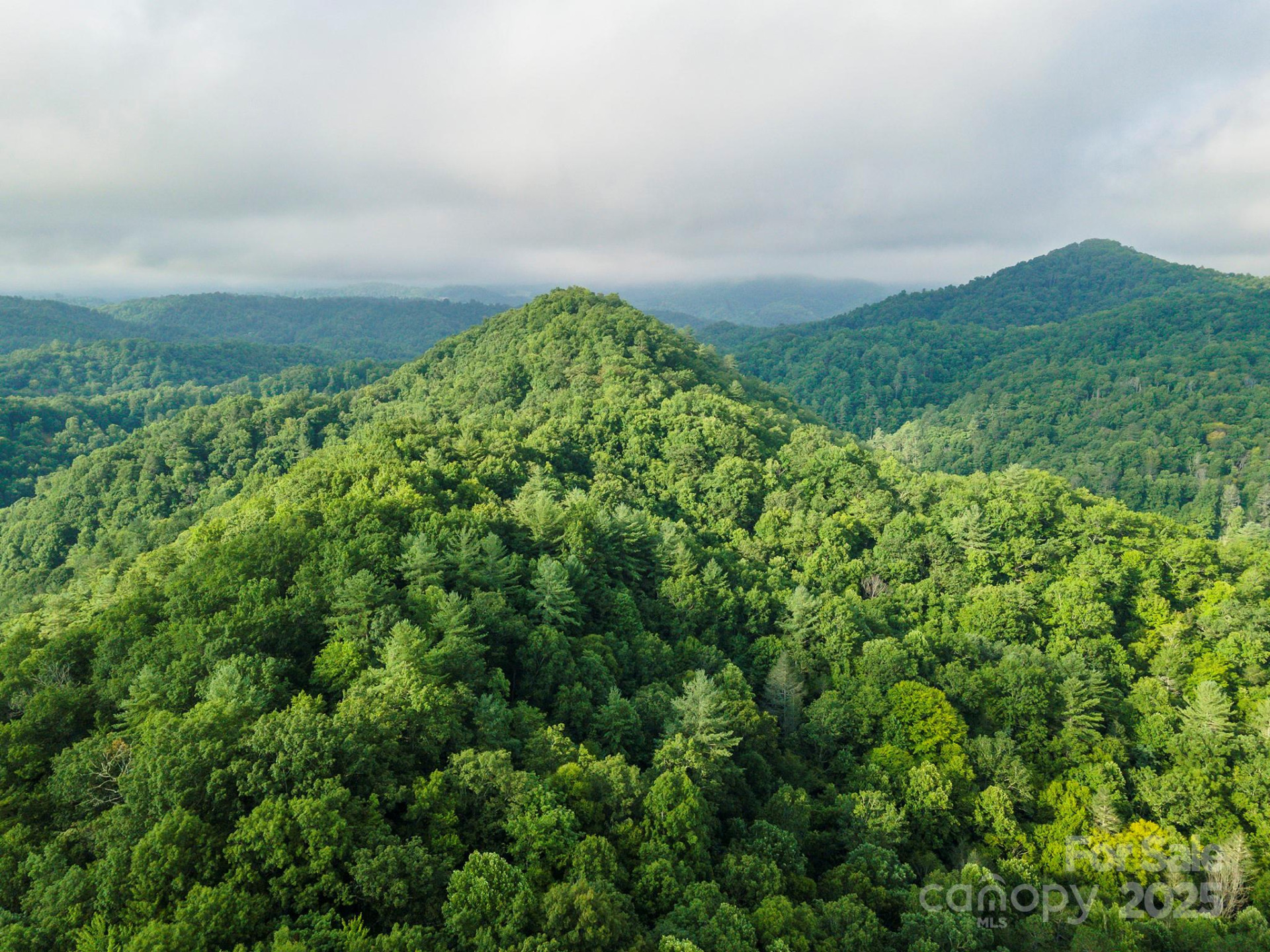 99999 Renfro Road - Photo 20