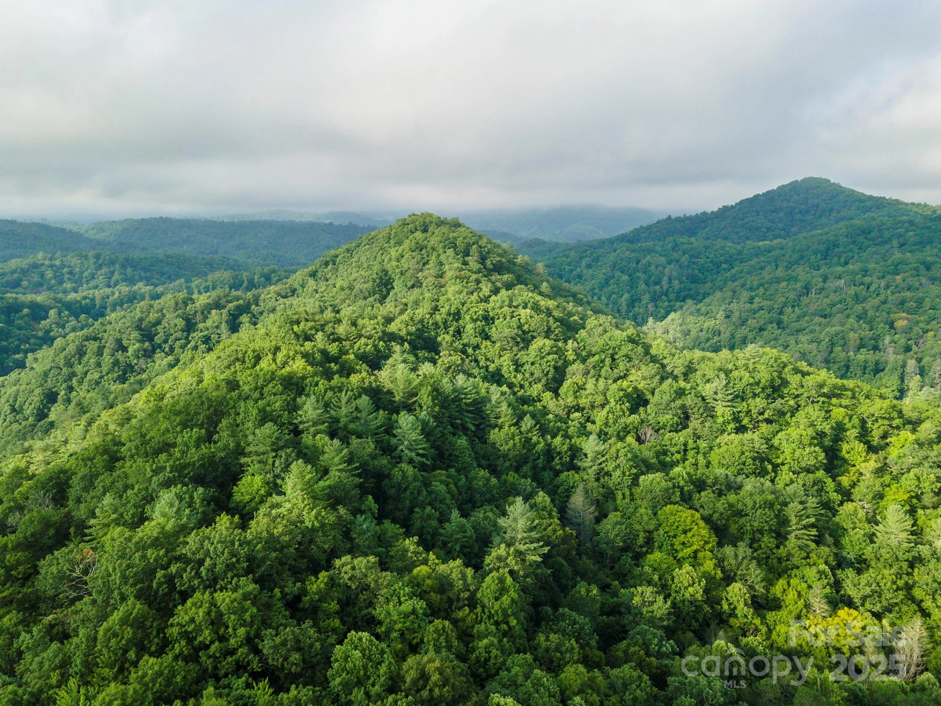 99999 Renfro Road - Photo 20