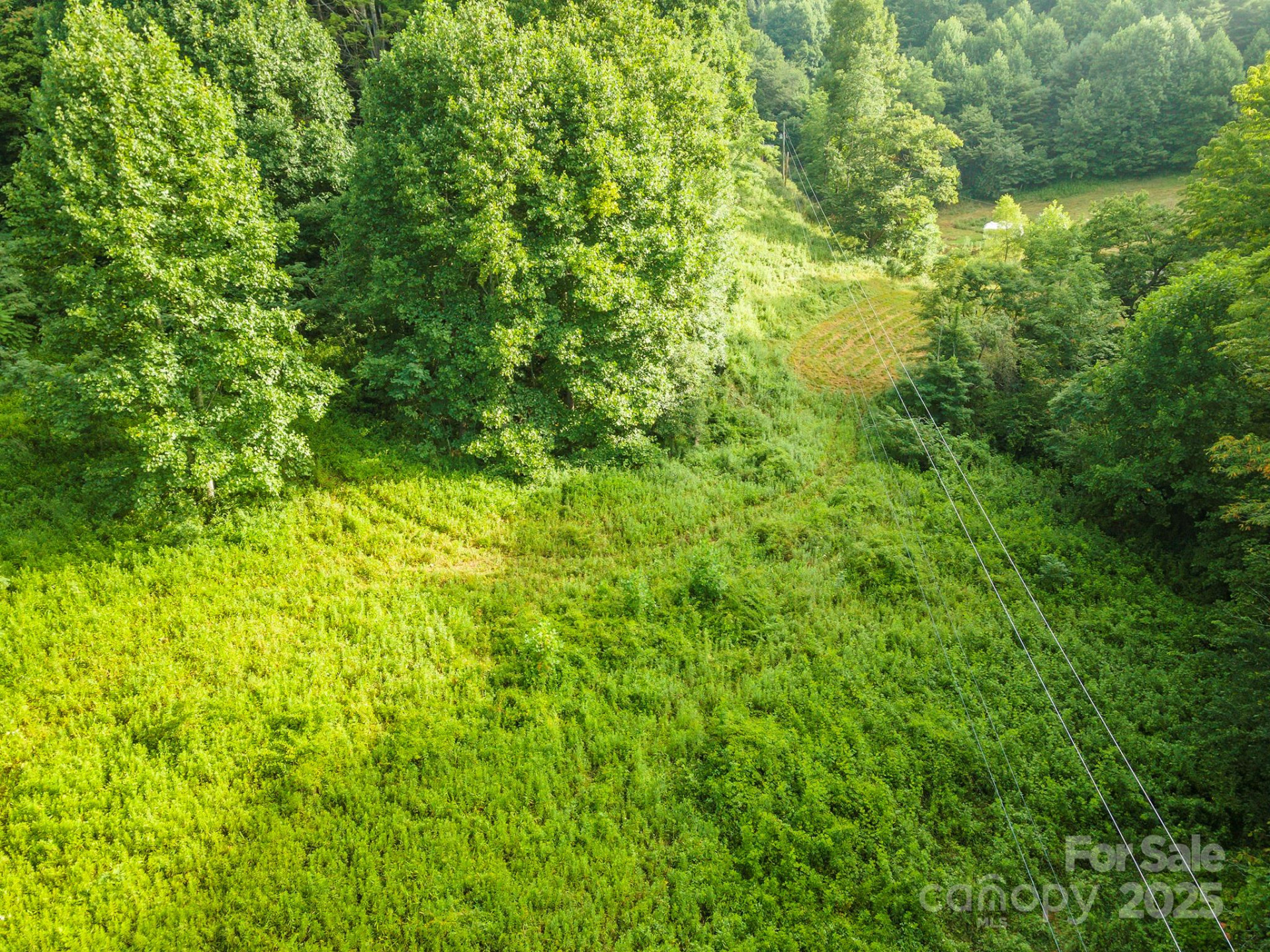 99999 Renfro Road - Photo 3