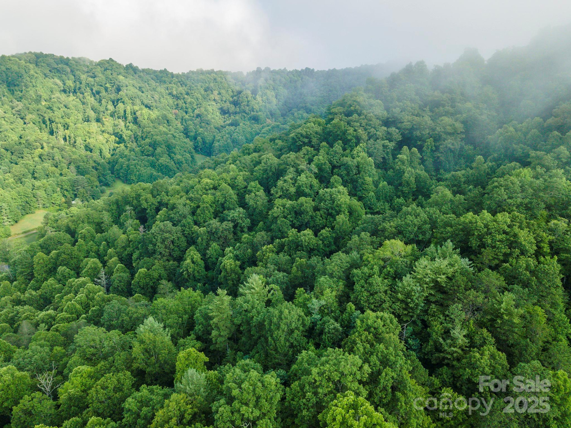 99999 Renfro Road - Photo 22